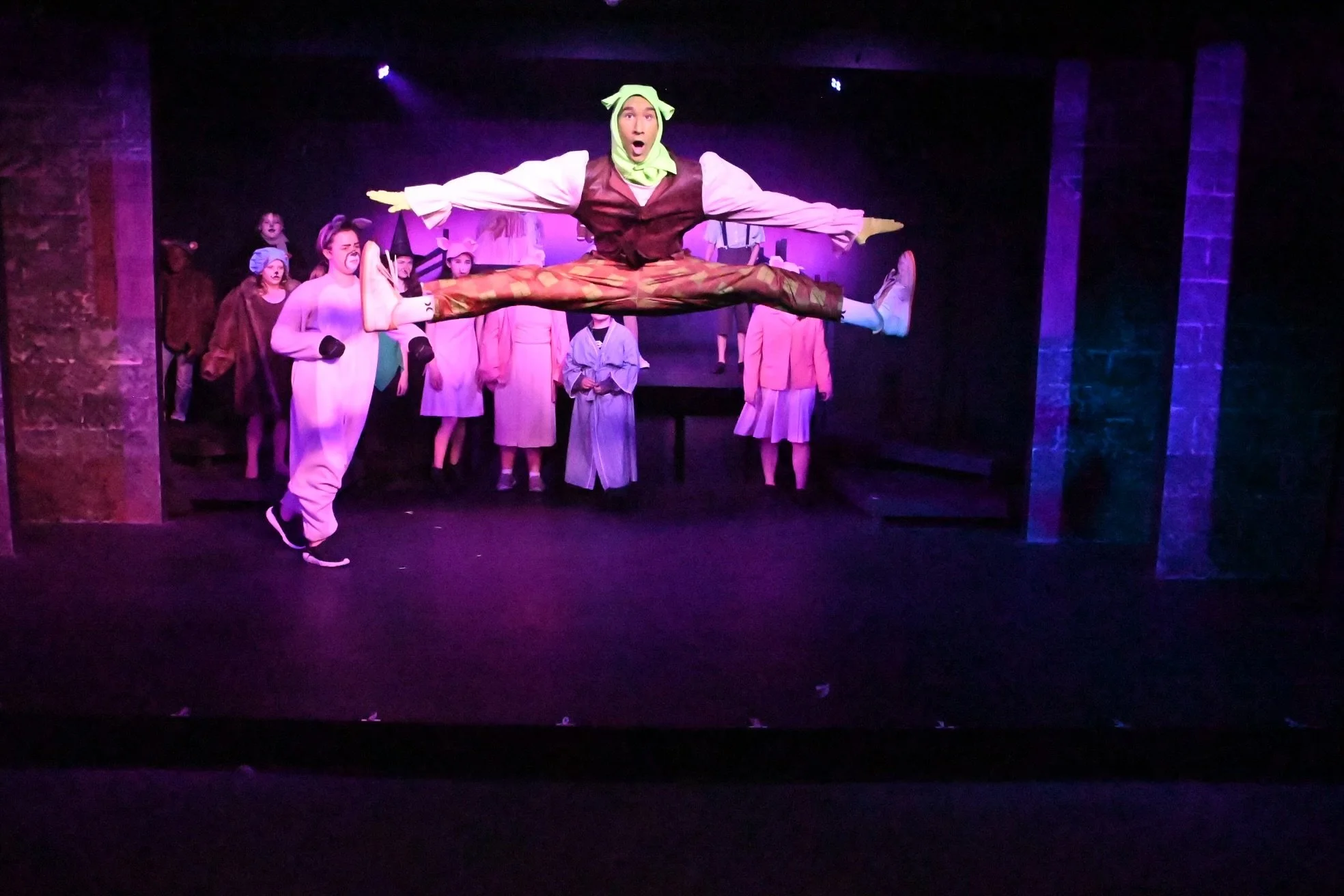 Shrek the Musical Jr.