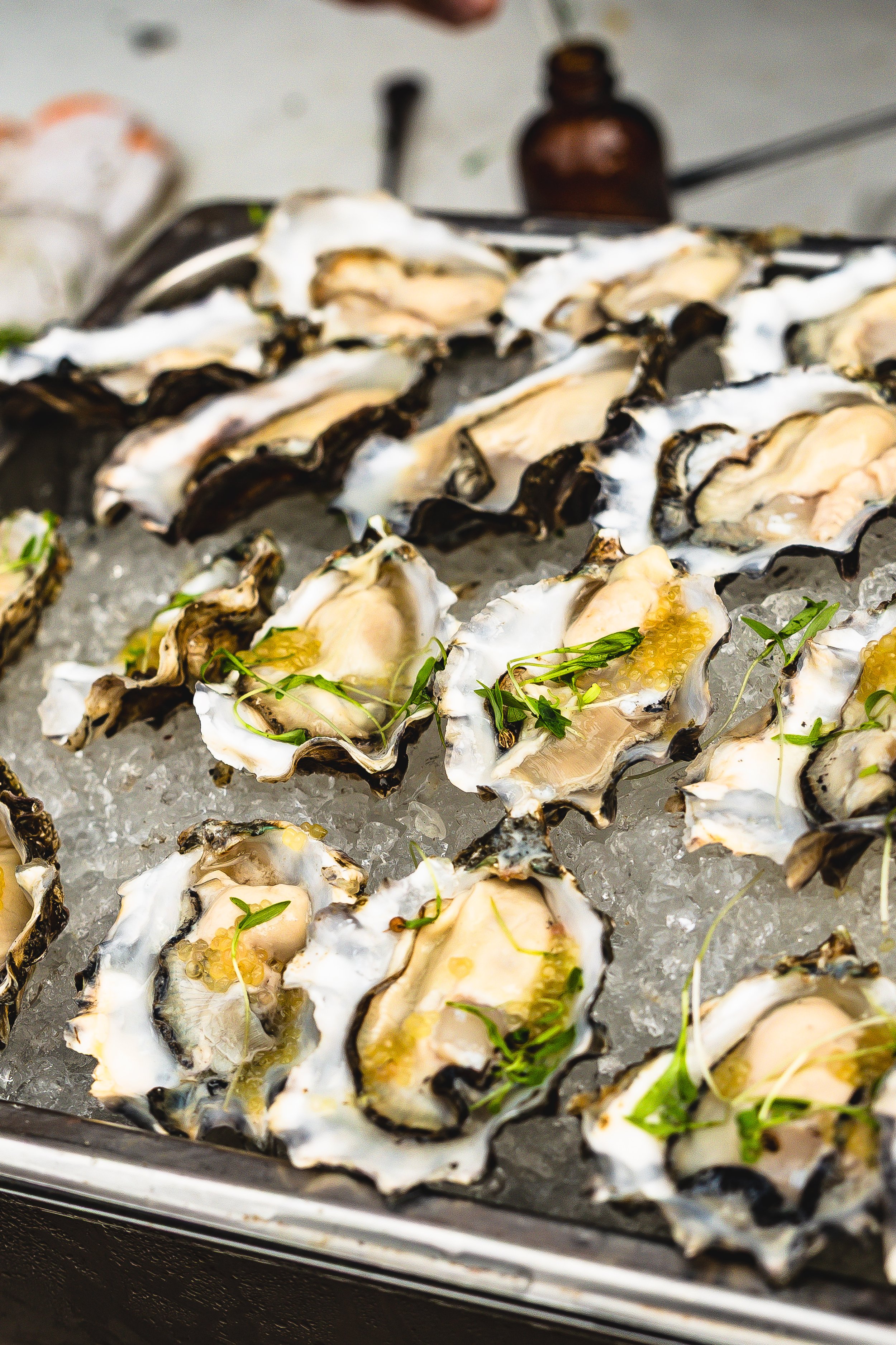 Oysters on a bed of ice garnished with herbs.