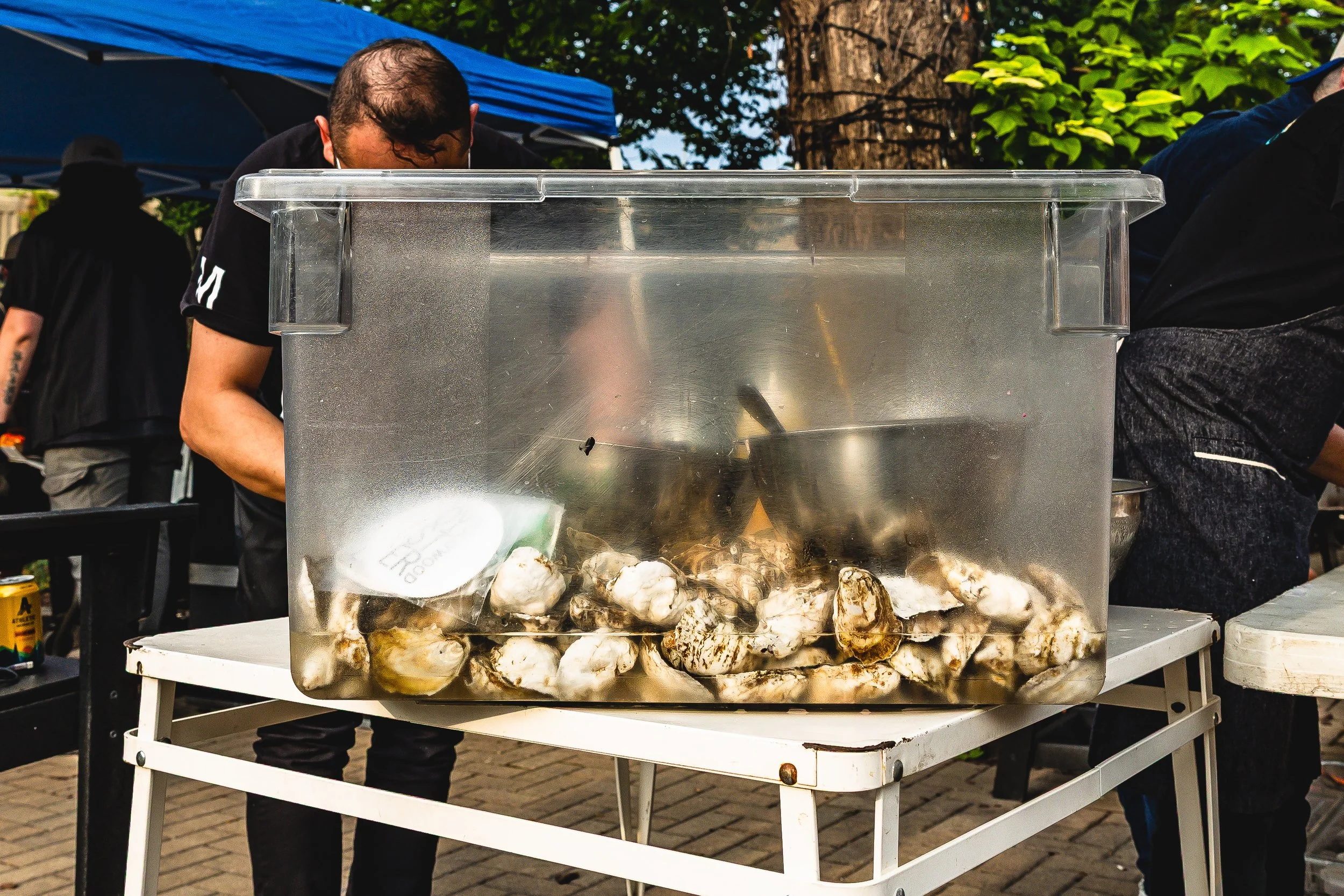 A clear plastic container filled with fresh oysters on a white table at an outdoor event, with people and green trees visible in the background.