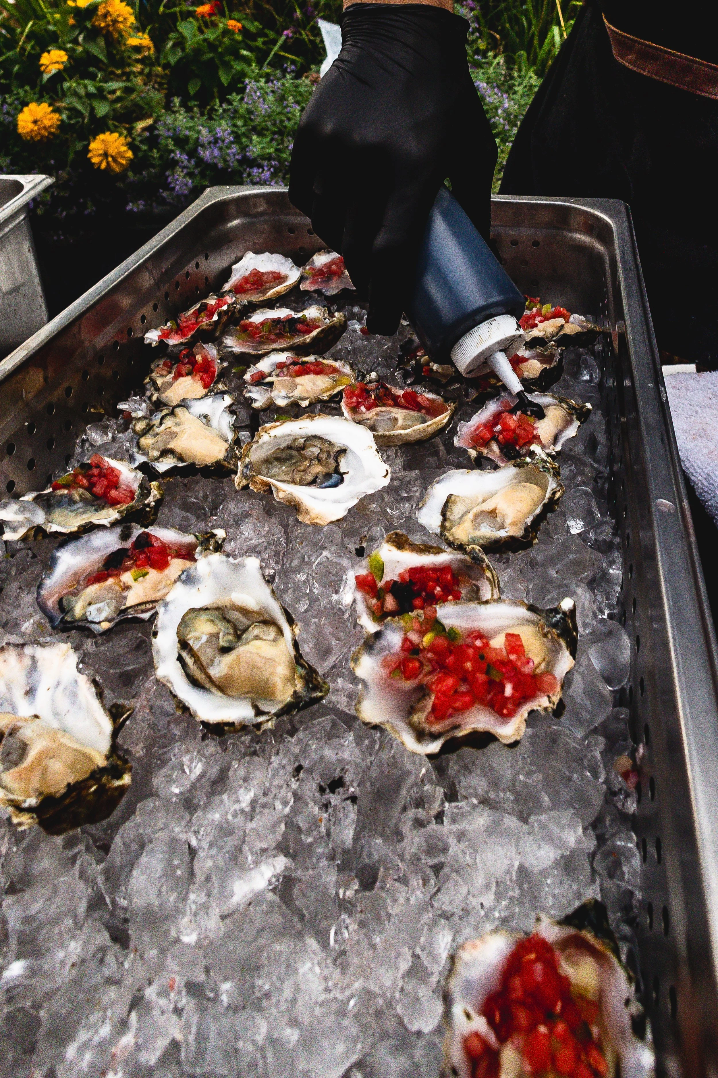 Person wearing black gloves squeezing lemon juice onto fresh oysters on a bed of ice