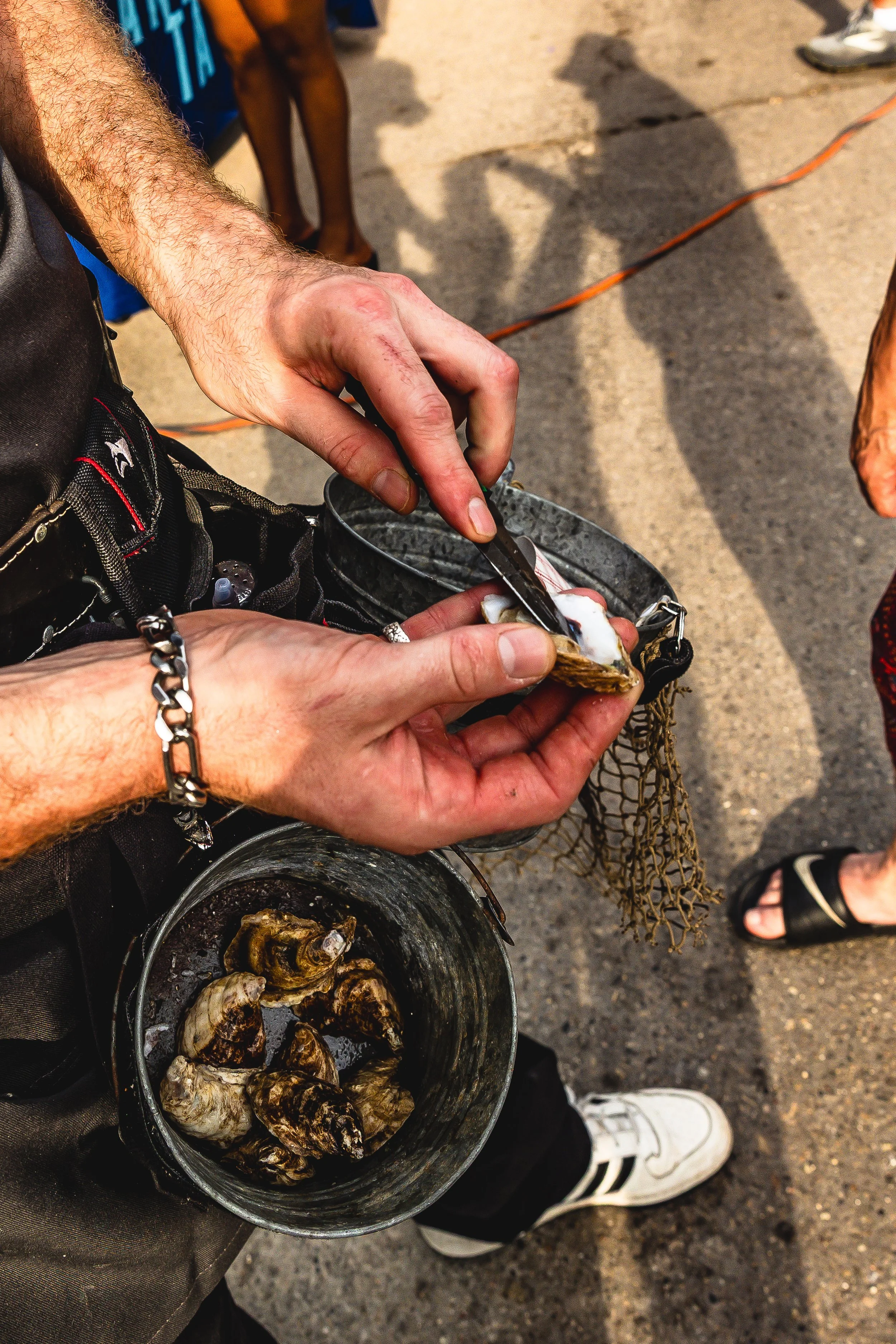 Person shucking fresh oysters outdoors, with a bucket of oysters and a small knife in hand.