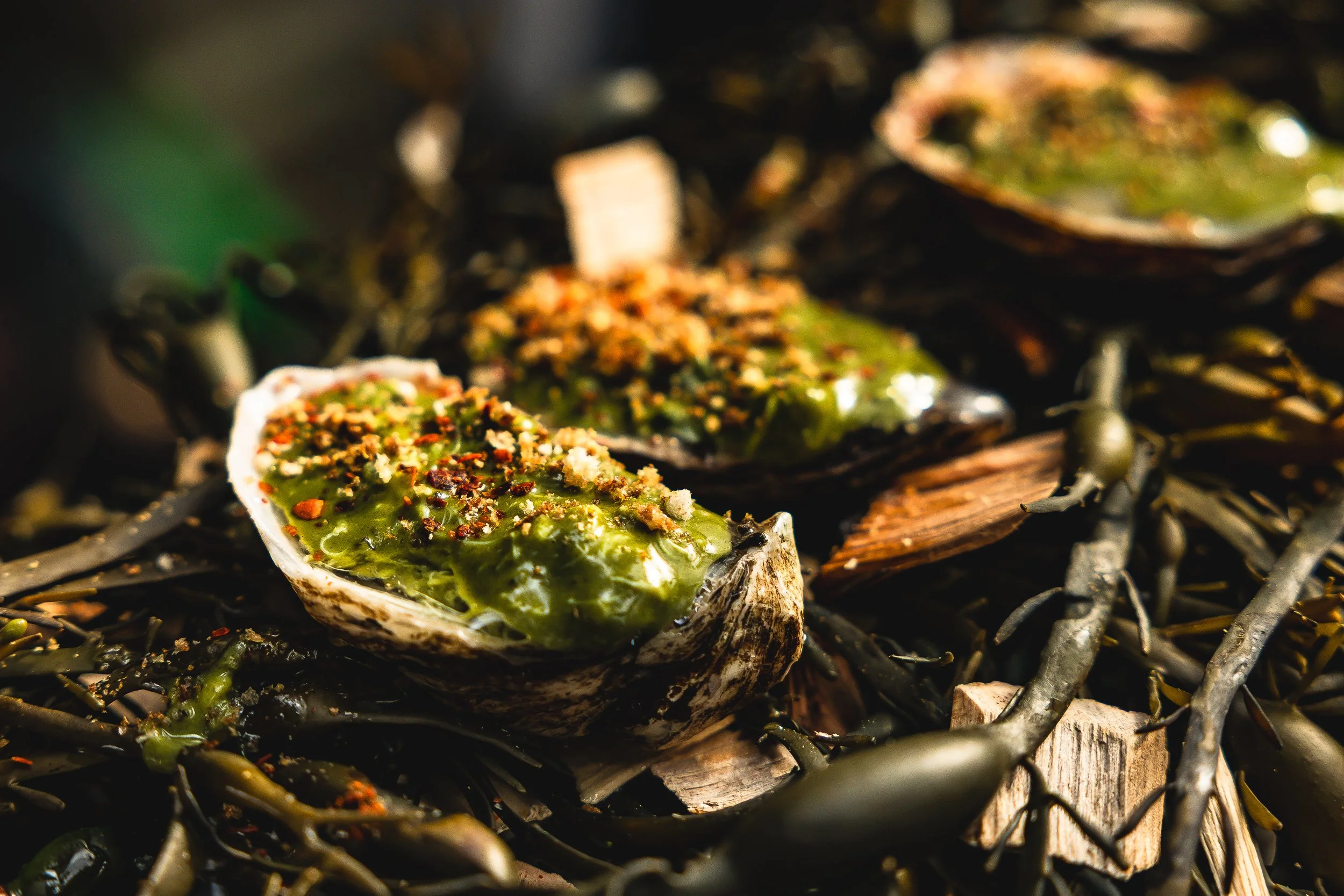 Oysters on a bed of dark seaweed with green sauce and seasonings