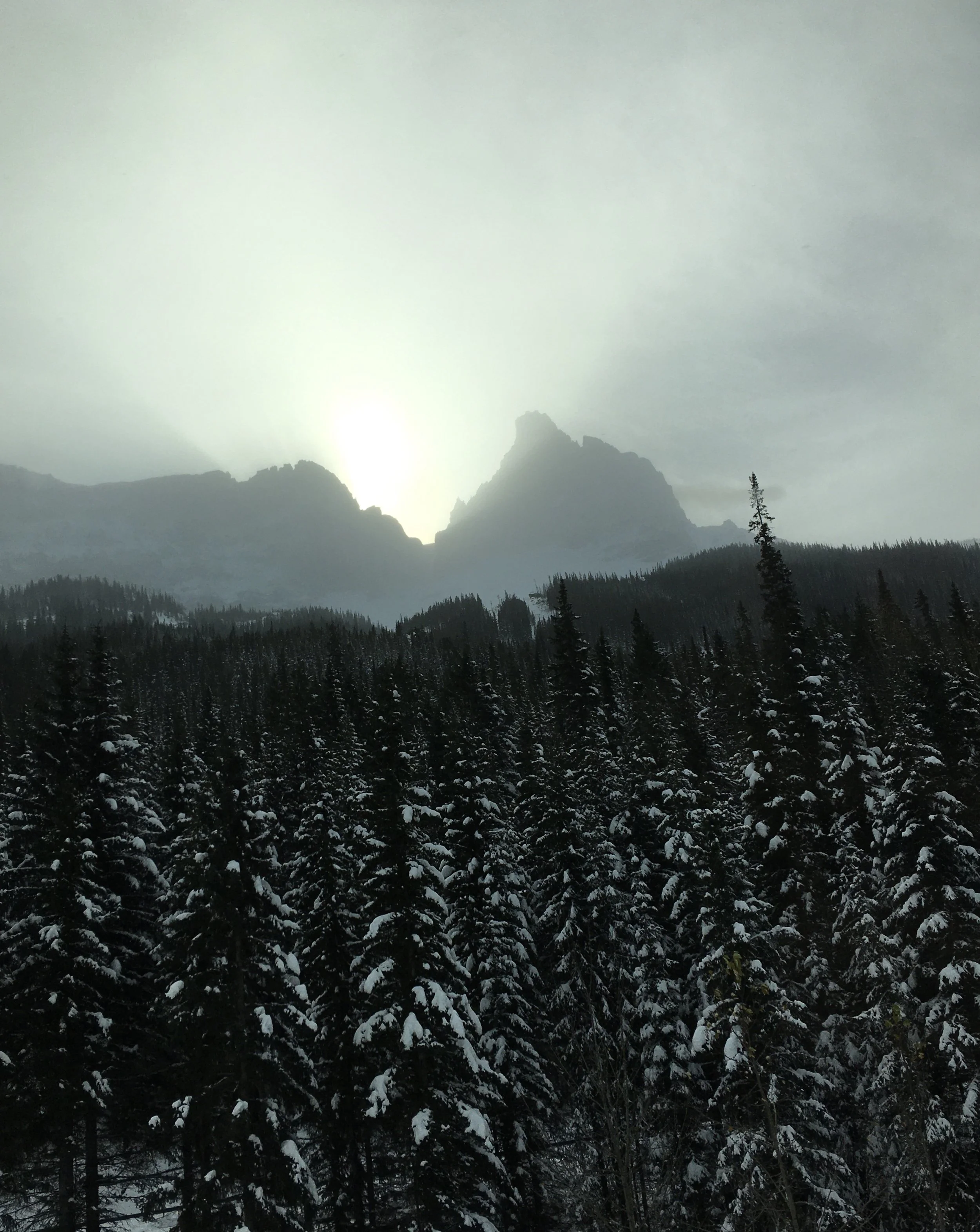 The Cost of Free Birth