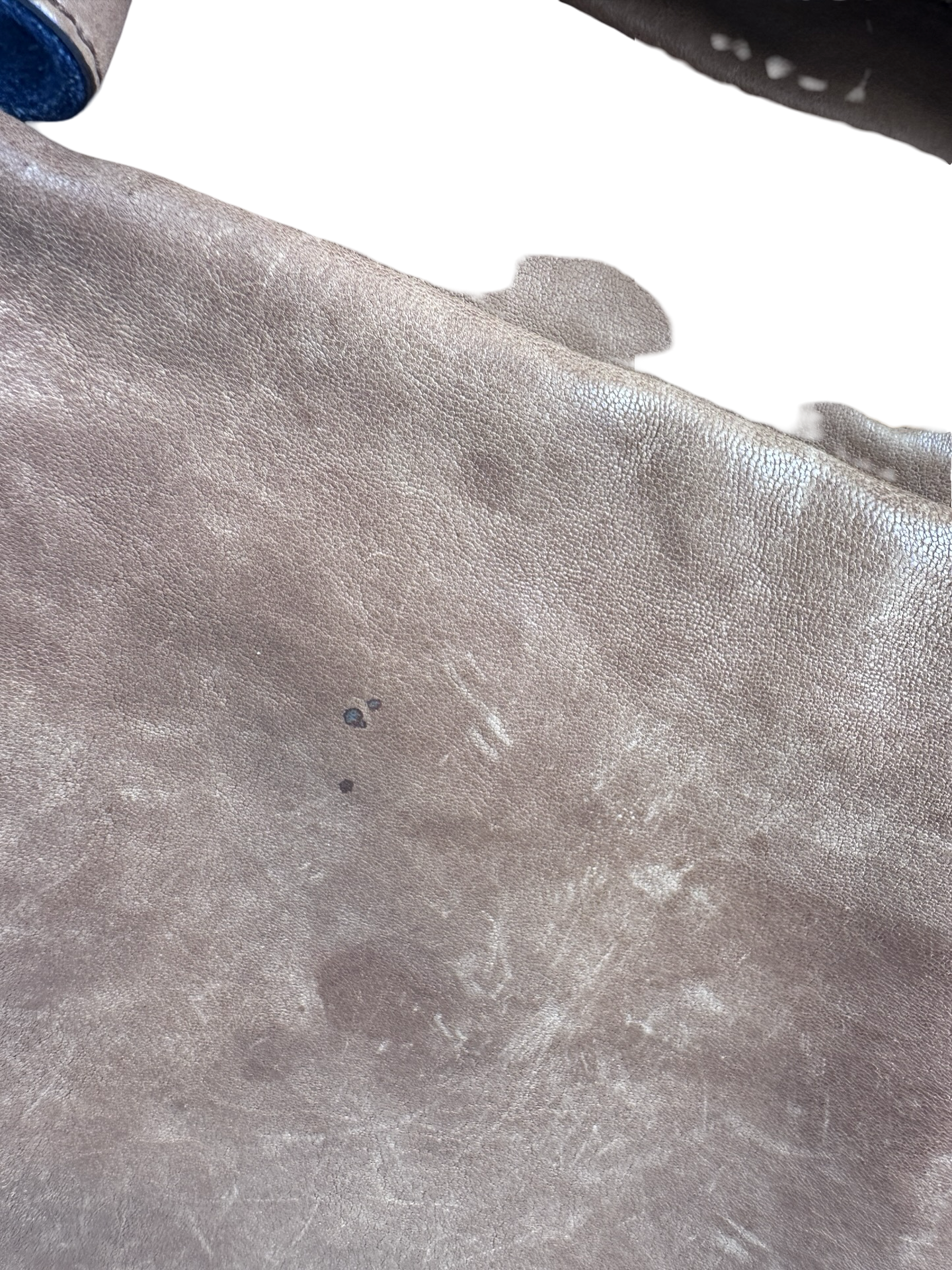 Photo Nov 22 2025, 10 37 40 PM (12).png