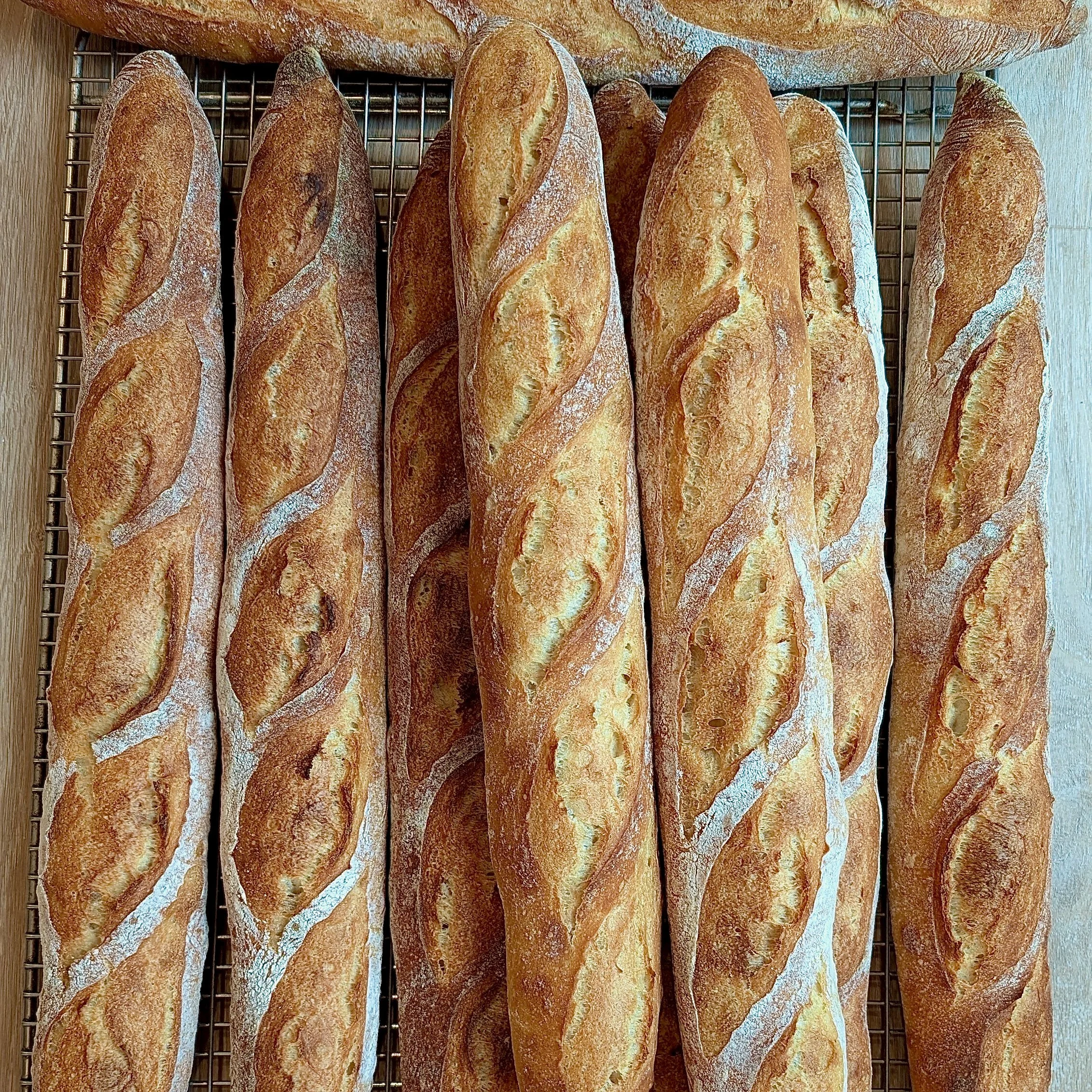 PXL_20250815_125715728.MP (2).jpeg