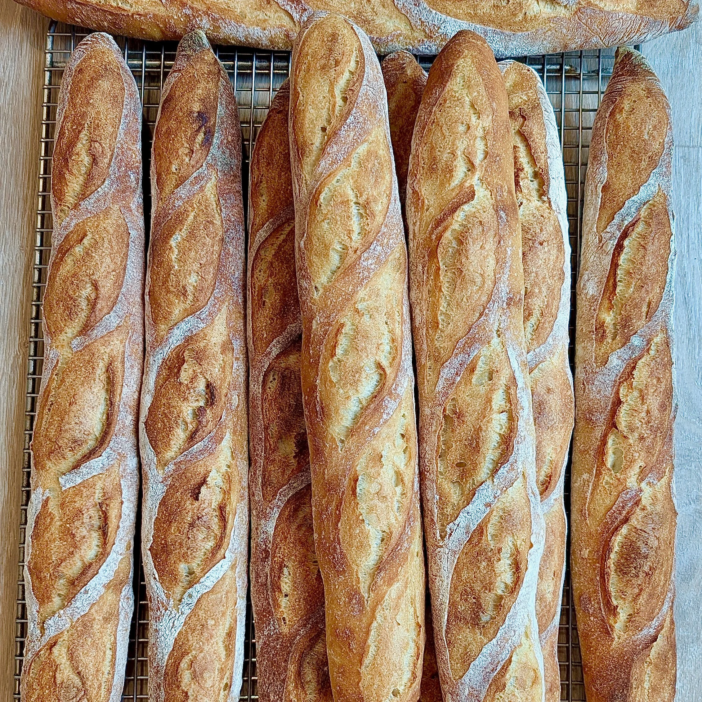 PXL_20250815_125715728.MP (1).jpeg