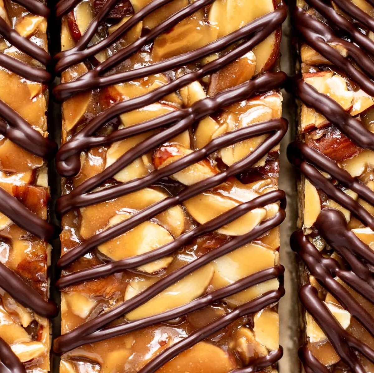 Florentine Cookies (6)