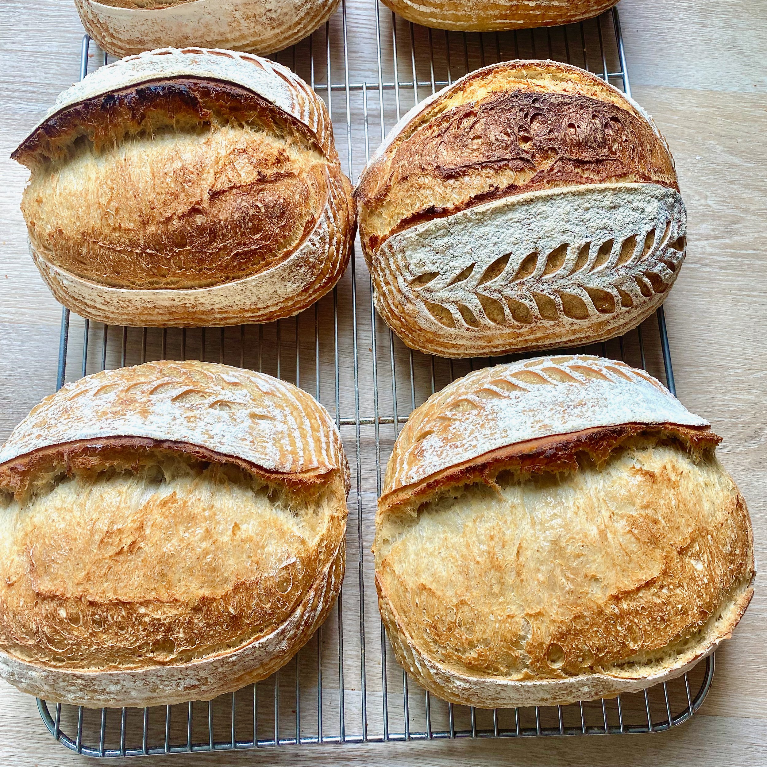 IMG_20250904_200244.jpeg (Copy)