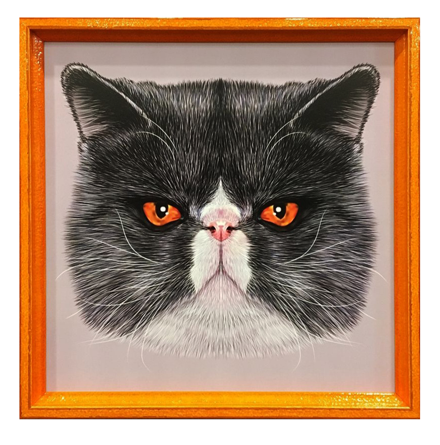 Close-up of a framed drawing of a cat with black and white fur and orange eyes.