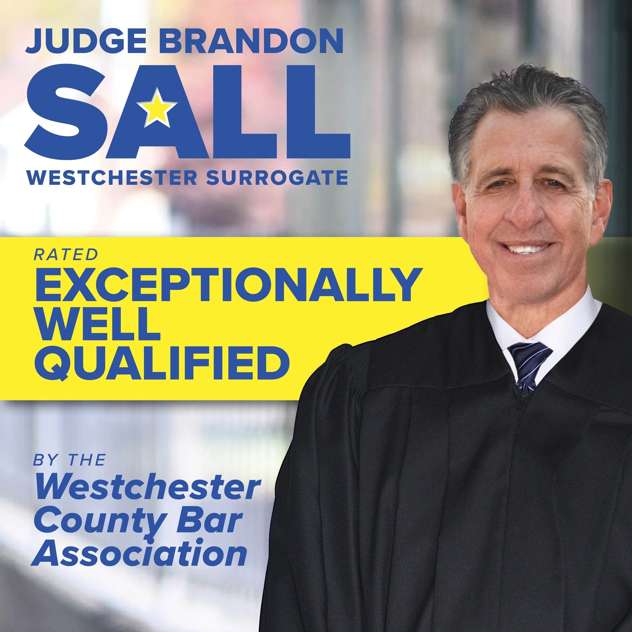 We are very proud to have earned the highest possible rating of EXCEPTIONALLY WELL QUALIFIED by the Westchester County Bar Association / @wcbany!

Thank you for this meaningful rating.

#sallforall #sallforsurrogate
