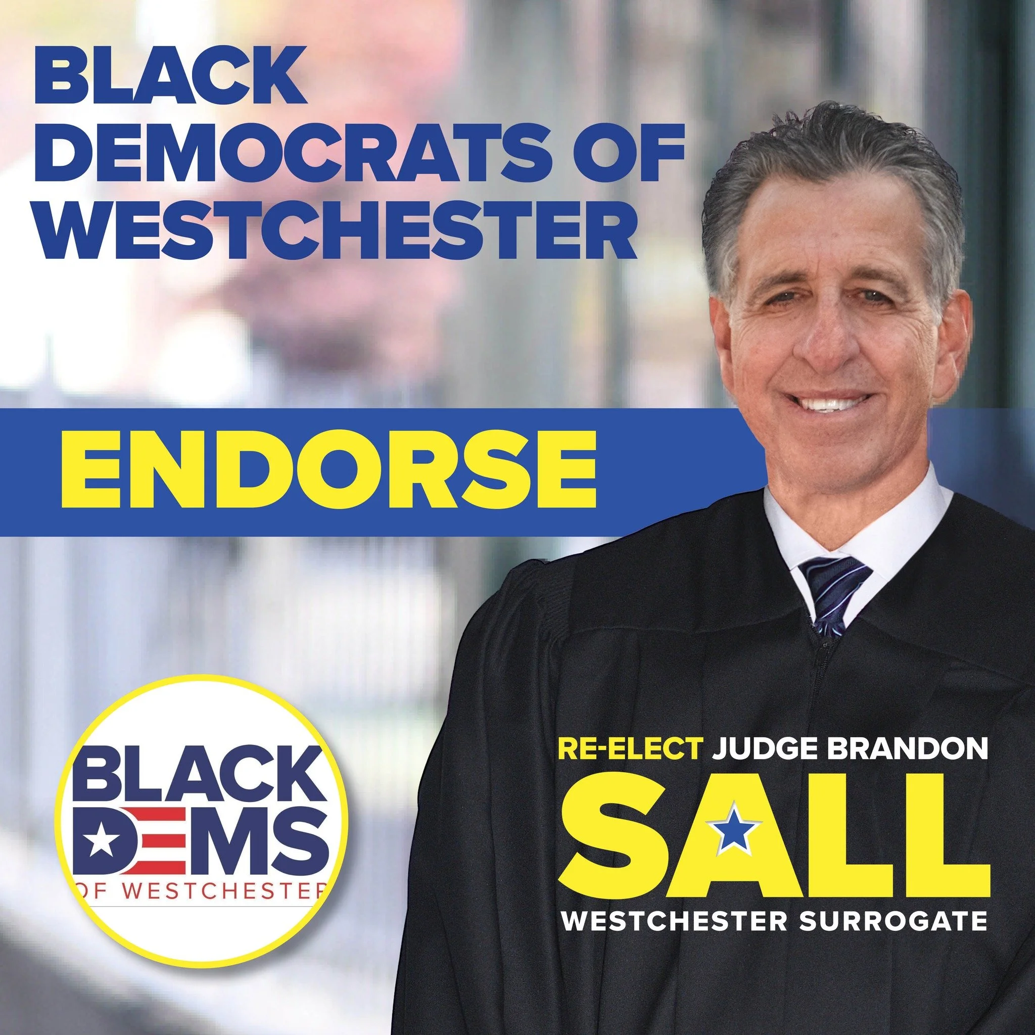 📣 ENDORSEMENT ALERT 📣

We are very proud to have earned the endorsement of the Black Democrats of Westchester in our re-election to Westchester Surrogate's Court!! Thank you for this vote of confidence and show of support!

#endorsement #sallforall
