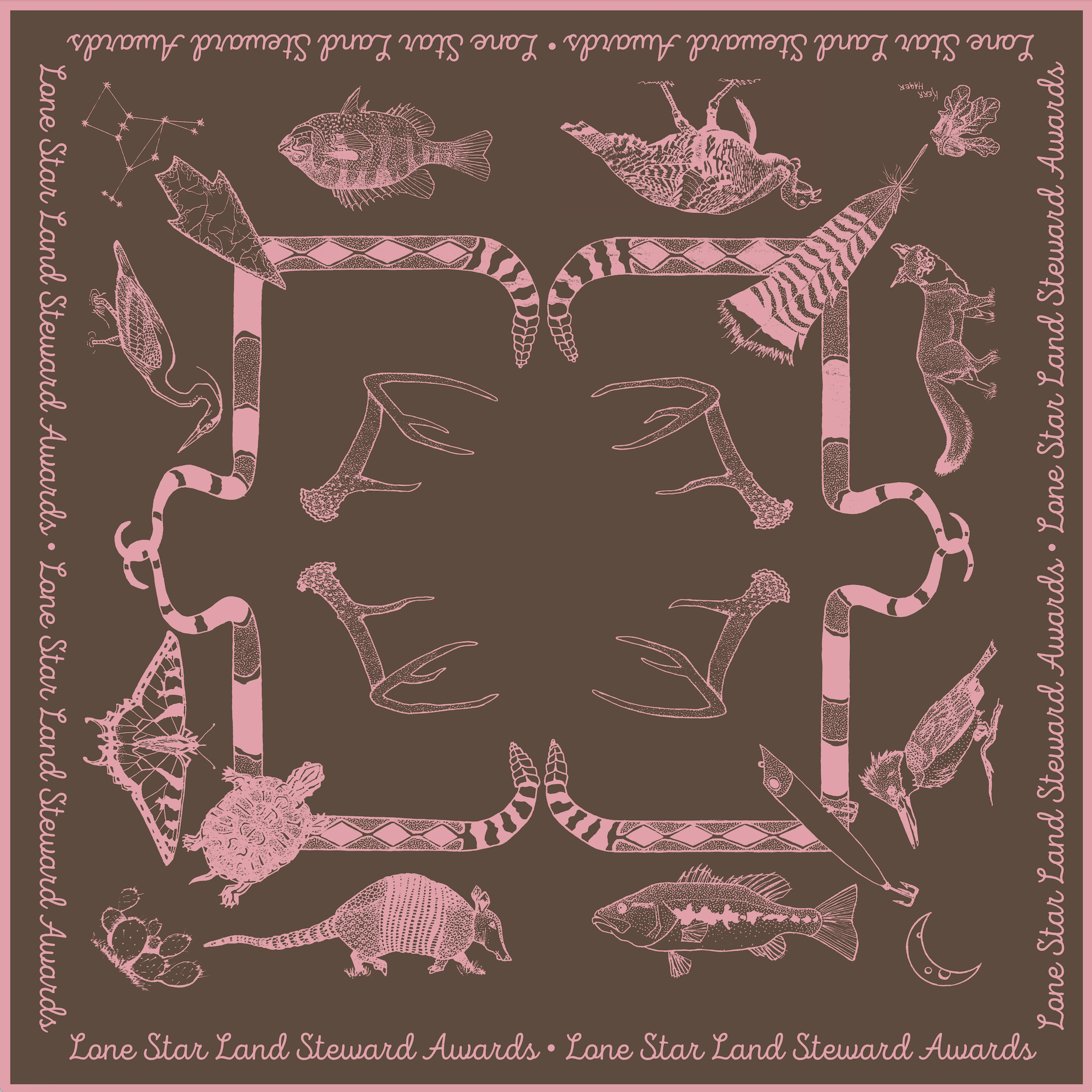 Armadillo | Commemorative TPWF Hill Country | Silk Scarf