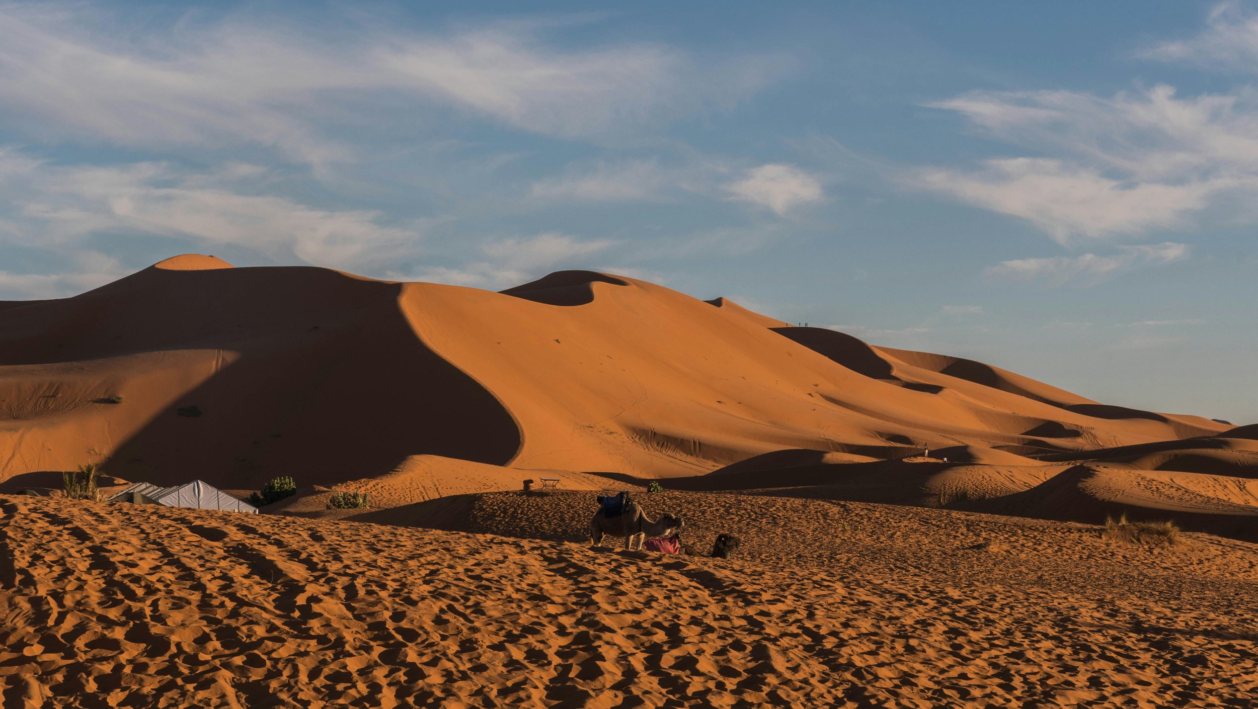 Regenerative Destination Development