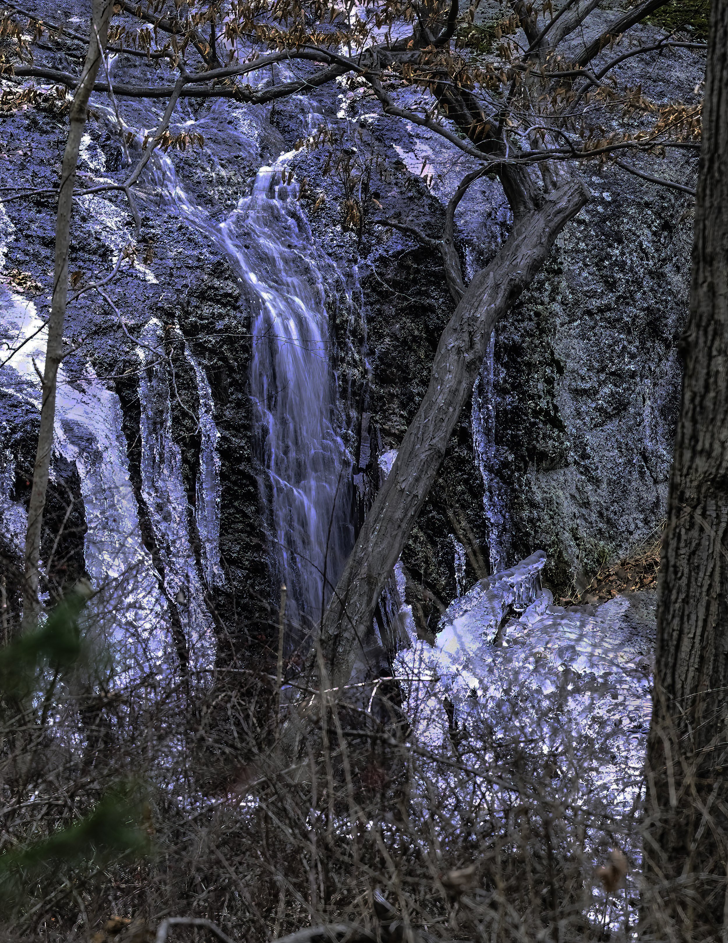 1777 Trail
