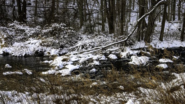 Snowscapes