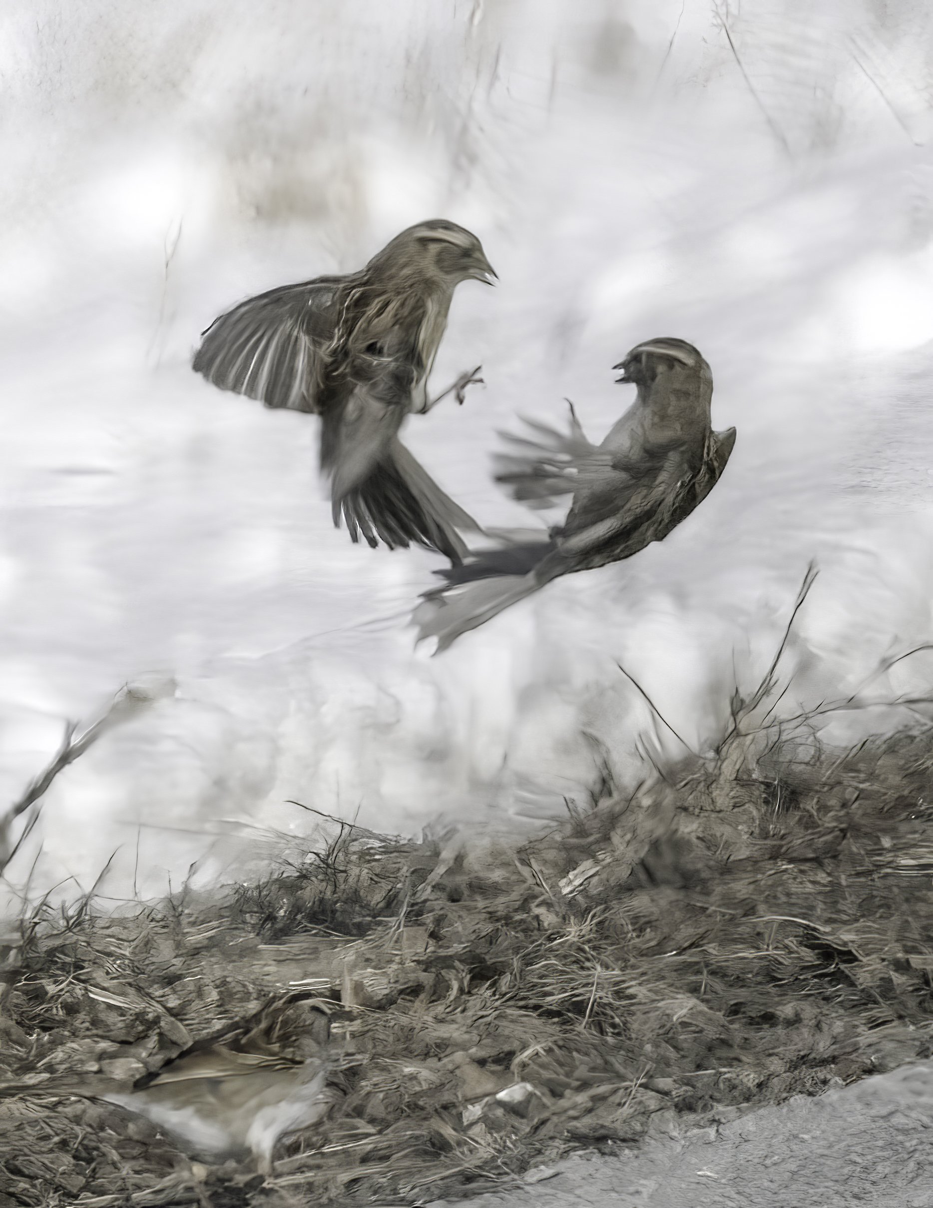 Nature pix with a purpose…