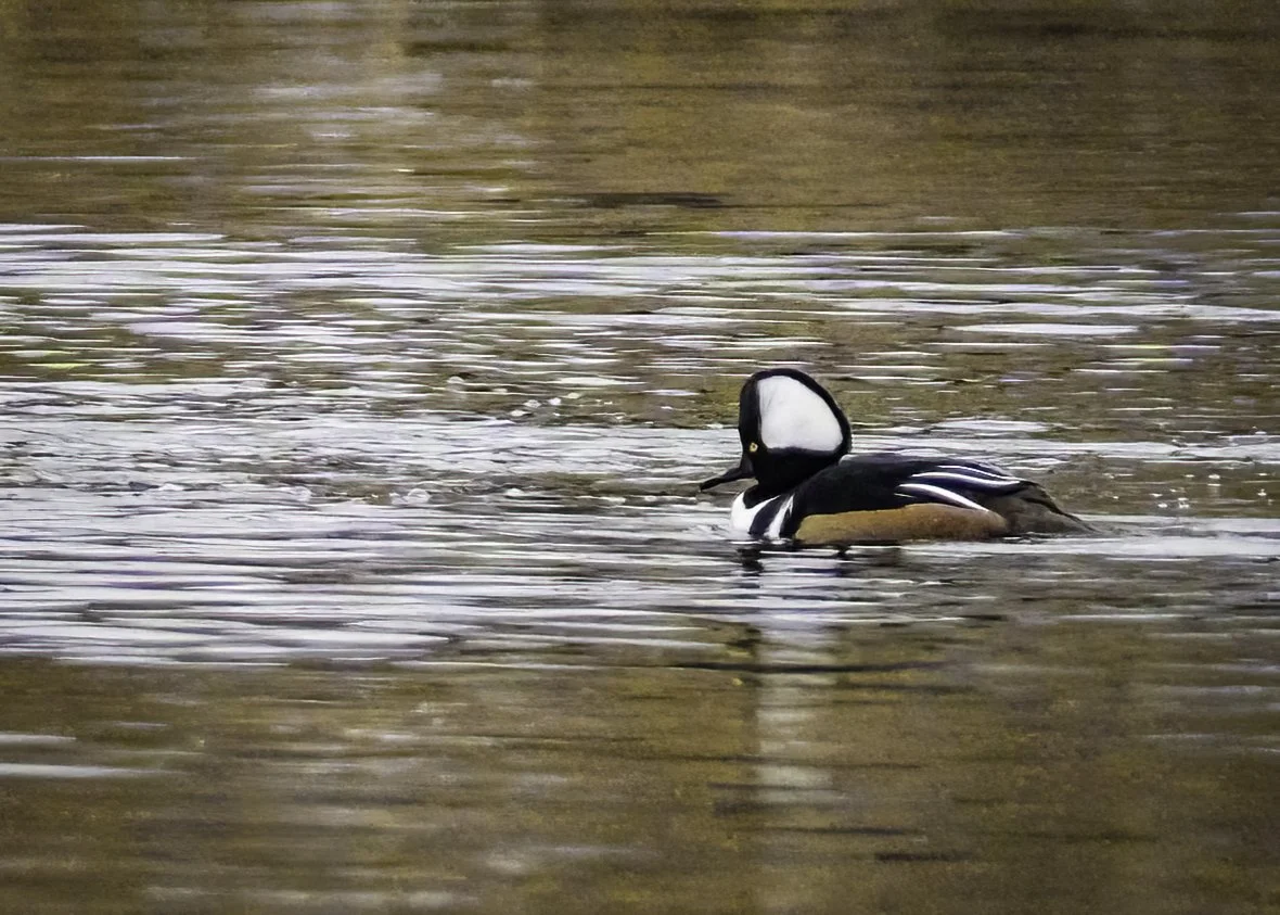 Haverstraw Waterfront