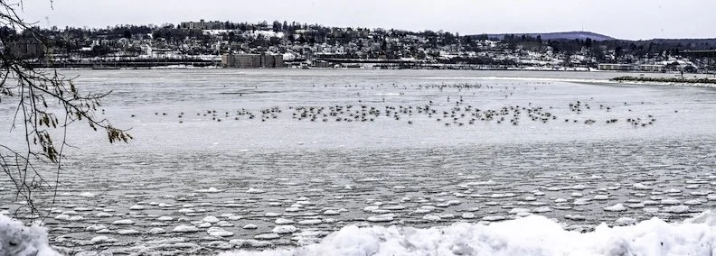 Out with the old….