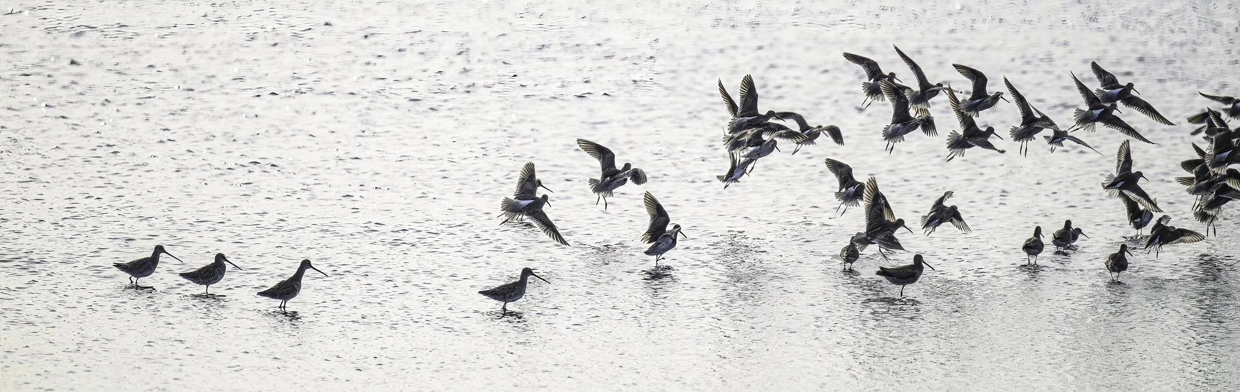 South for the winter…