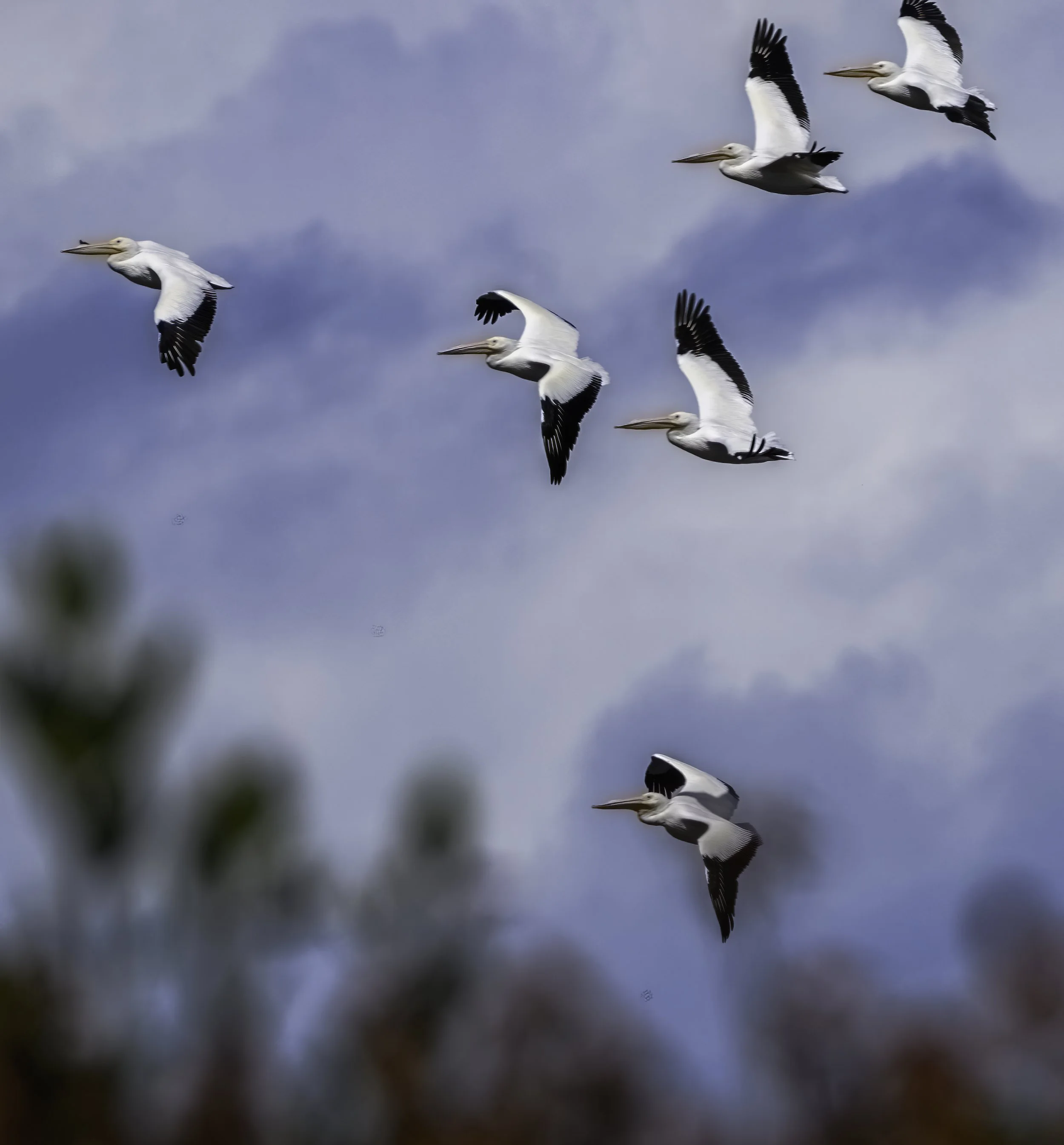 New Arrivals &amp; Departures