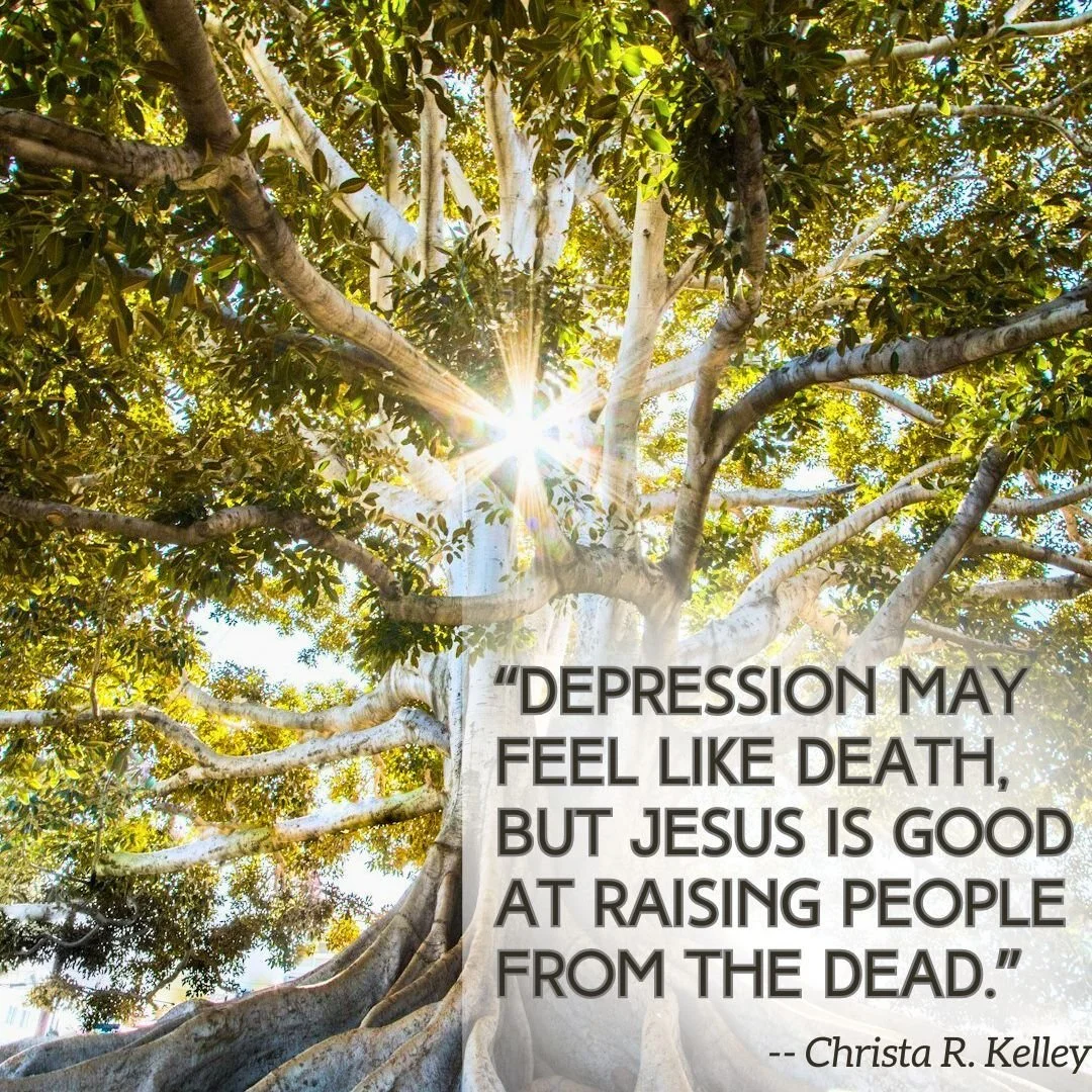 Check out my new blog post about how believing in Jesus' resurrection power can give us hope even when we're depressed. https://www.christarkelley.com/why-so-downcast-oh-my-soul/resurrection-life-in-depression
