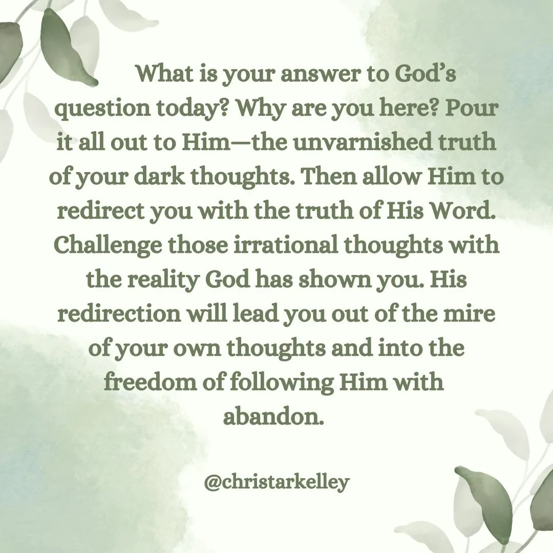 God&rsquo;s questions invited a place where Elijah could freely express his feelings, but they also called out the irrational beliefs that held him captive and redirected him toward the truth. When I struggle with depression, I am bombarded by though