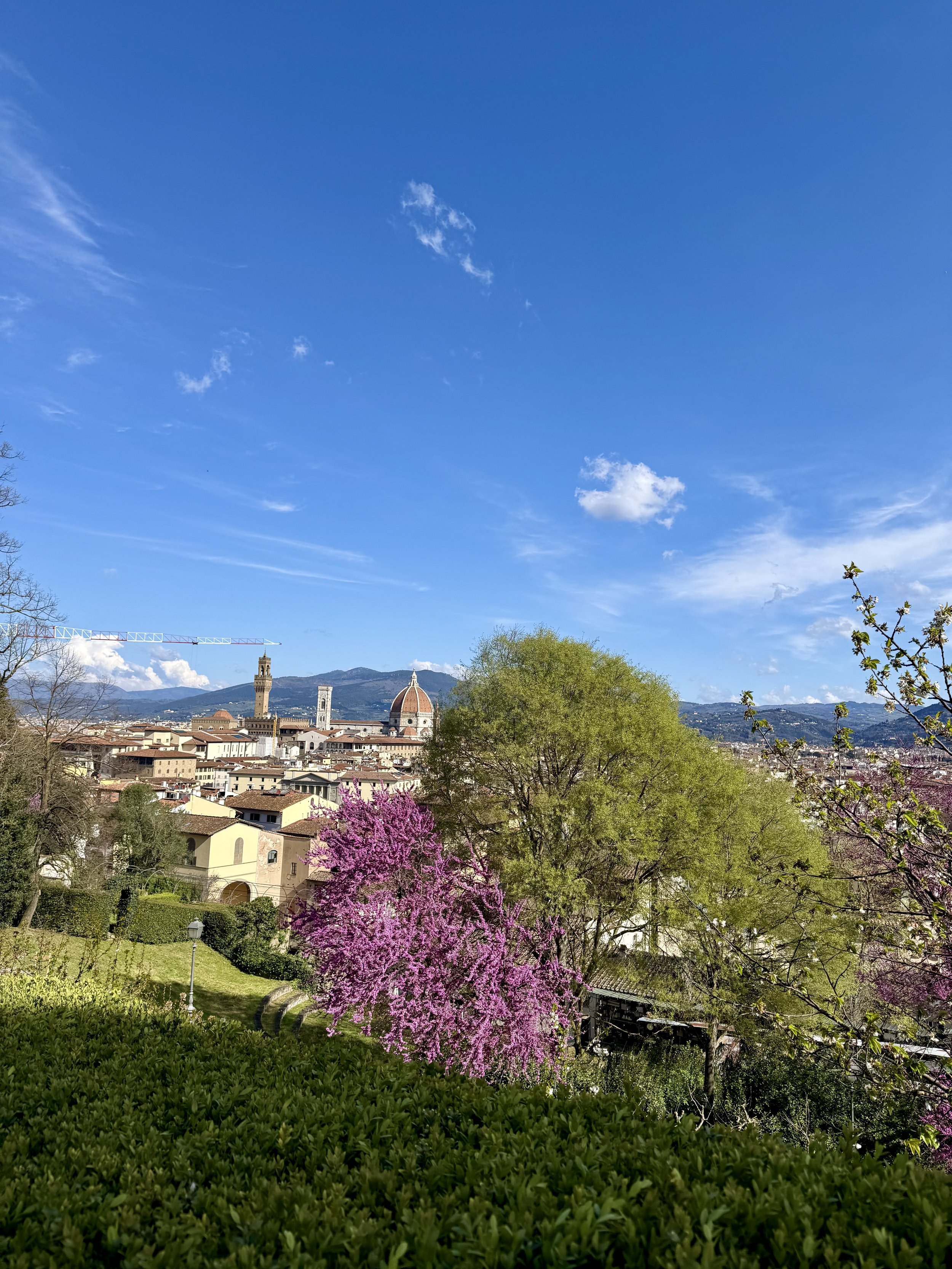 Bardini Garden, Florence. A hillside garden combining a baroque staircase, an English wood, and an orchard. Left overgrown for roughly fifty years, it was restored and reopened in 2005.