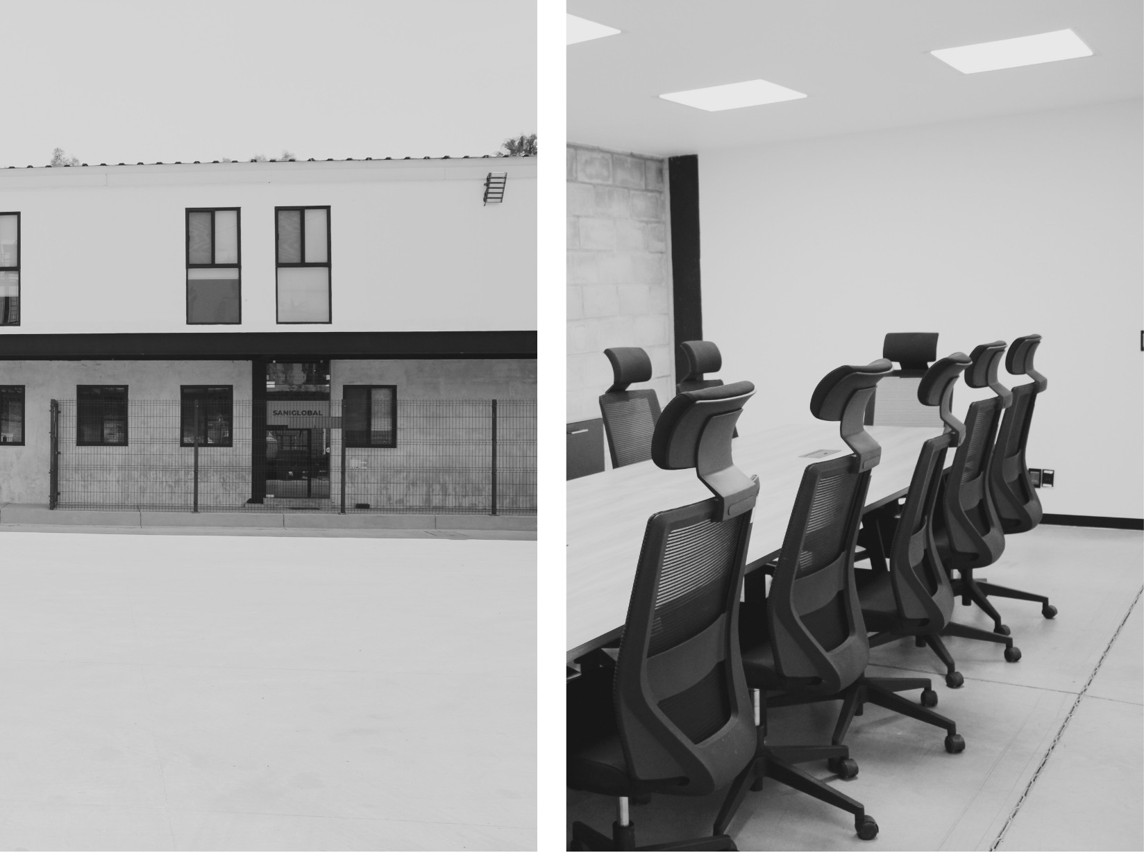 SANMEX - 2018 - IGEA.png