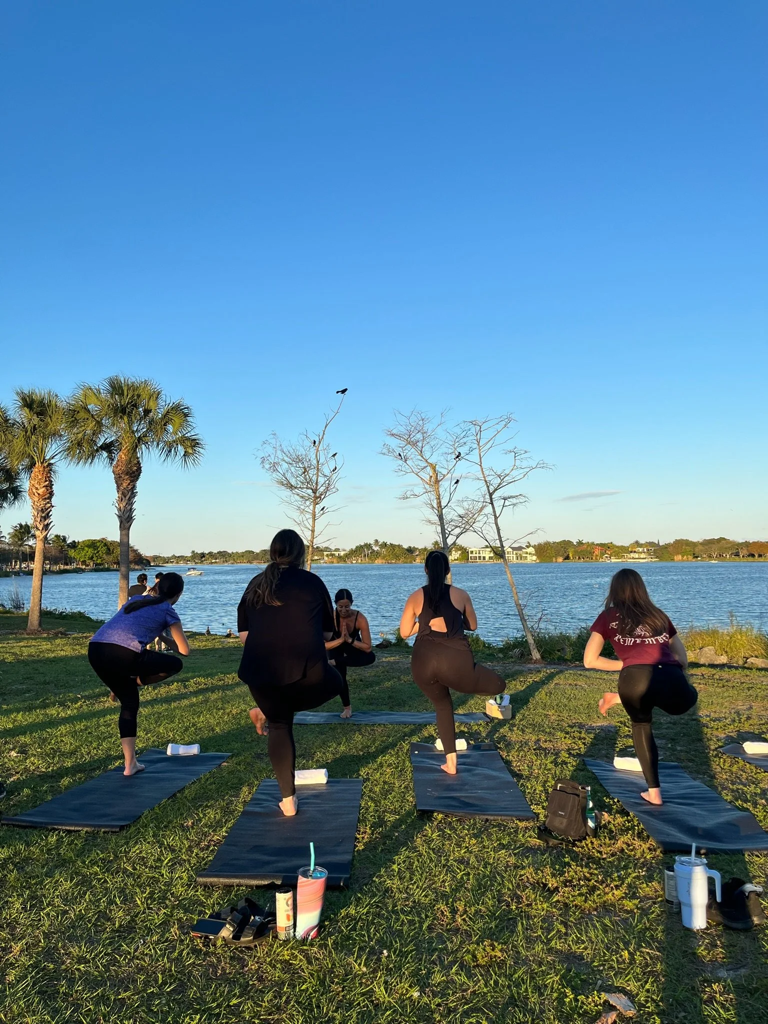 The New Mom Playdate: Wellness Sessions for Moms Who Want More Than Just Coffee &amp; Chaos