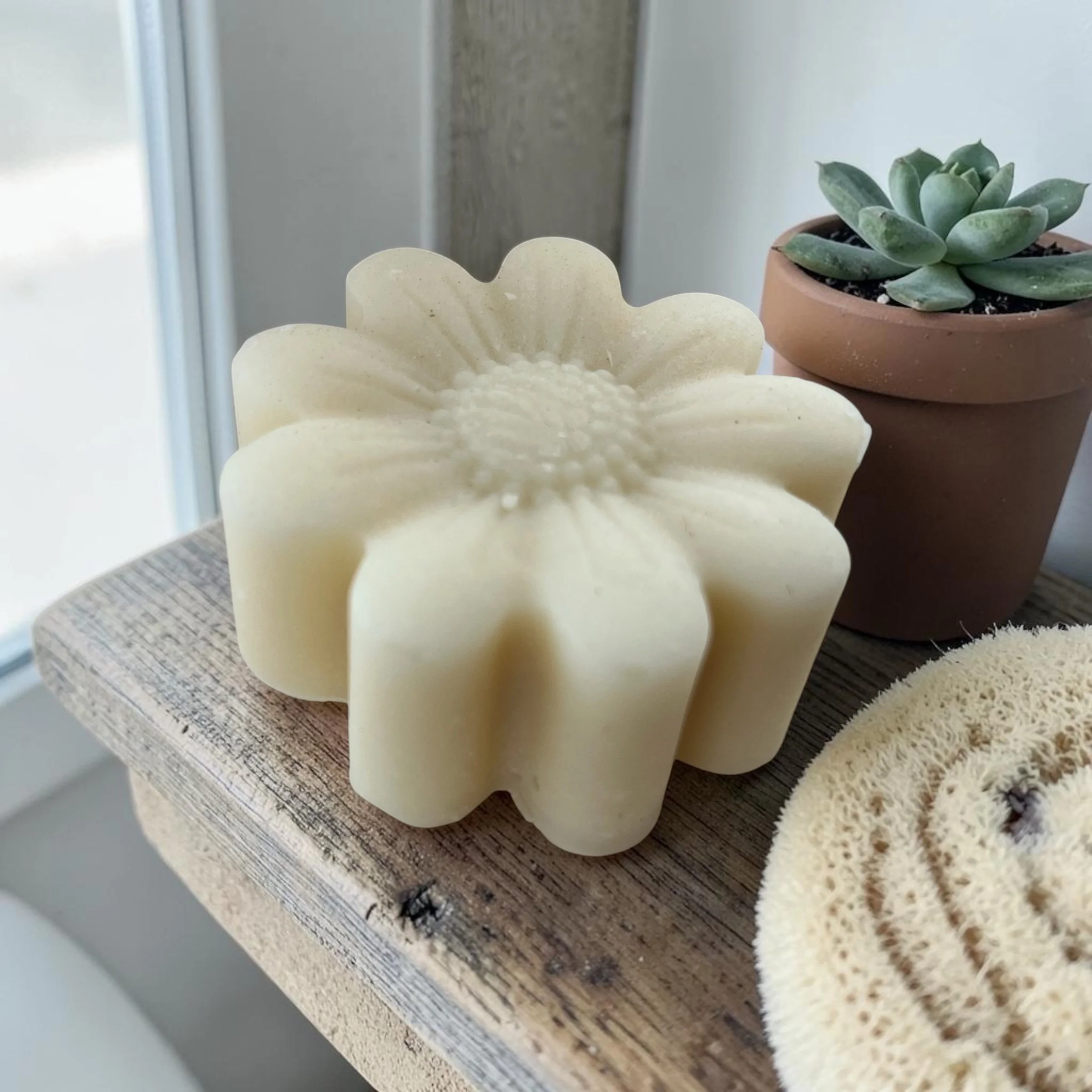 Shampoo Bar
