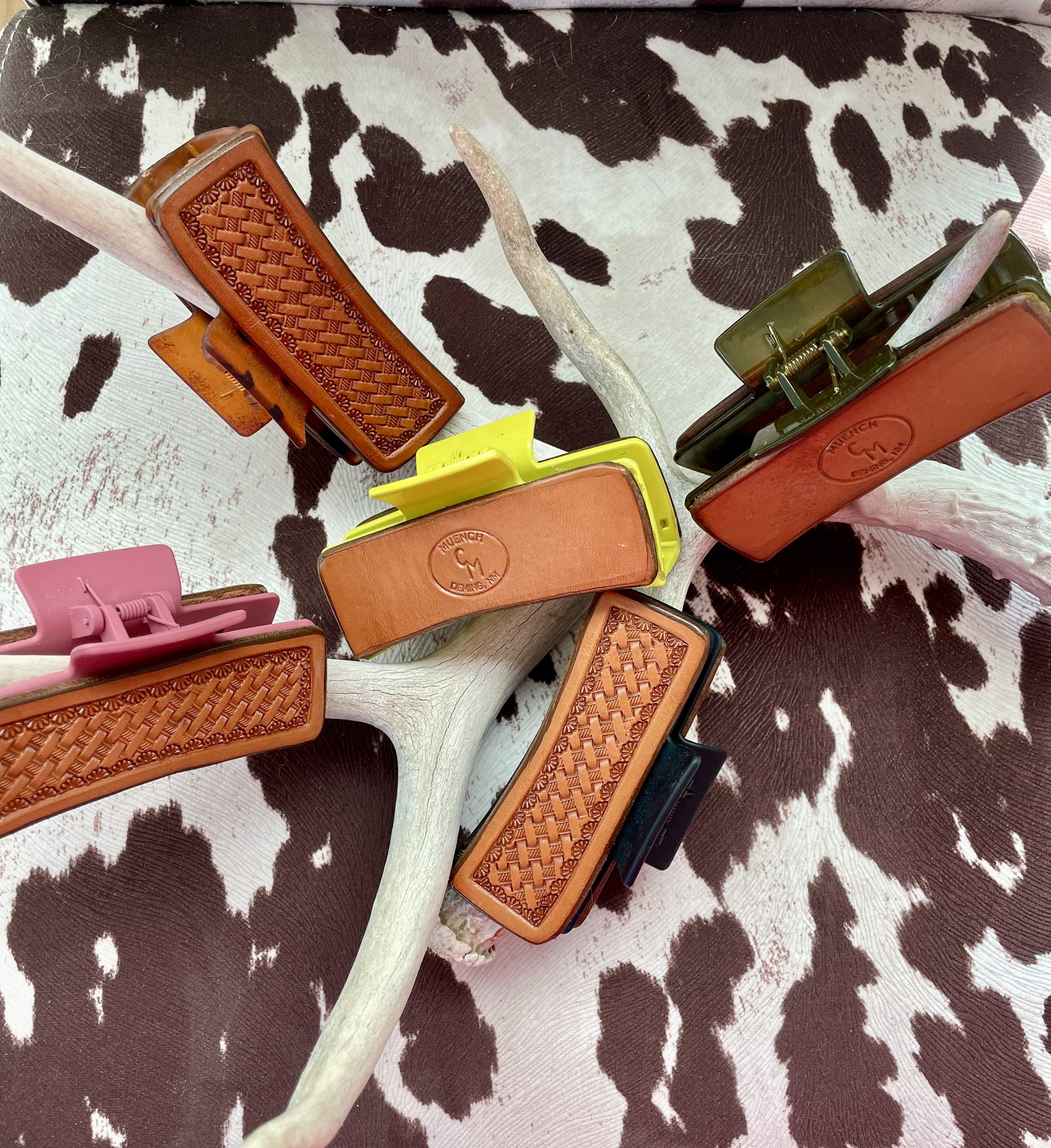 clips with antler.jpg