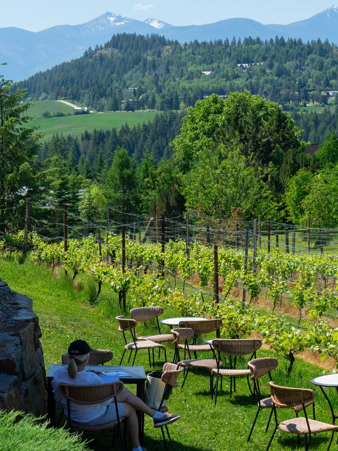 We had such a wonderful time hosting @artspacecreston last week! They captured some incredible scenes around the winery, and we couldn&rsquo;t have asked for a more beautiful day. Thank you again for spending the day with us - we loved having you her