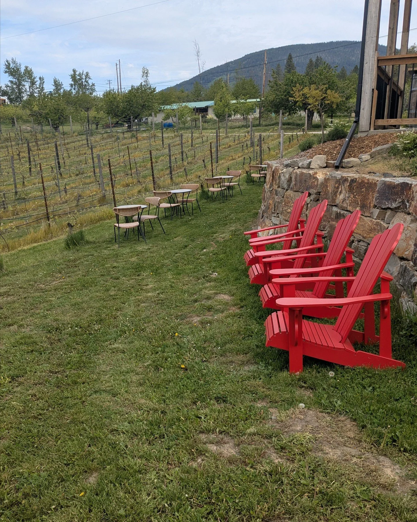 New at Red Bird! 

We&rsquo;re excited to officially introduce our brand new picnic area at the vineyard! 

You can now relax among the vines and enjoy your wine with your favourite snacks brought from home, or treat yourself to a locally made charcu