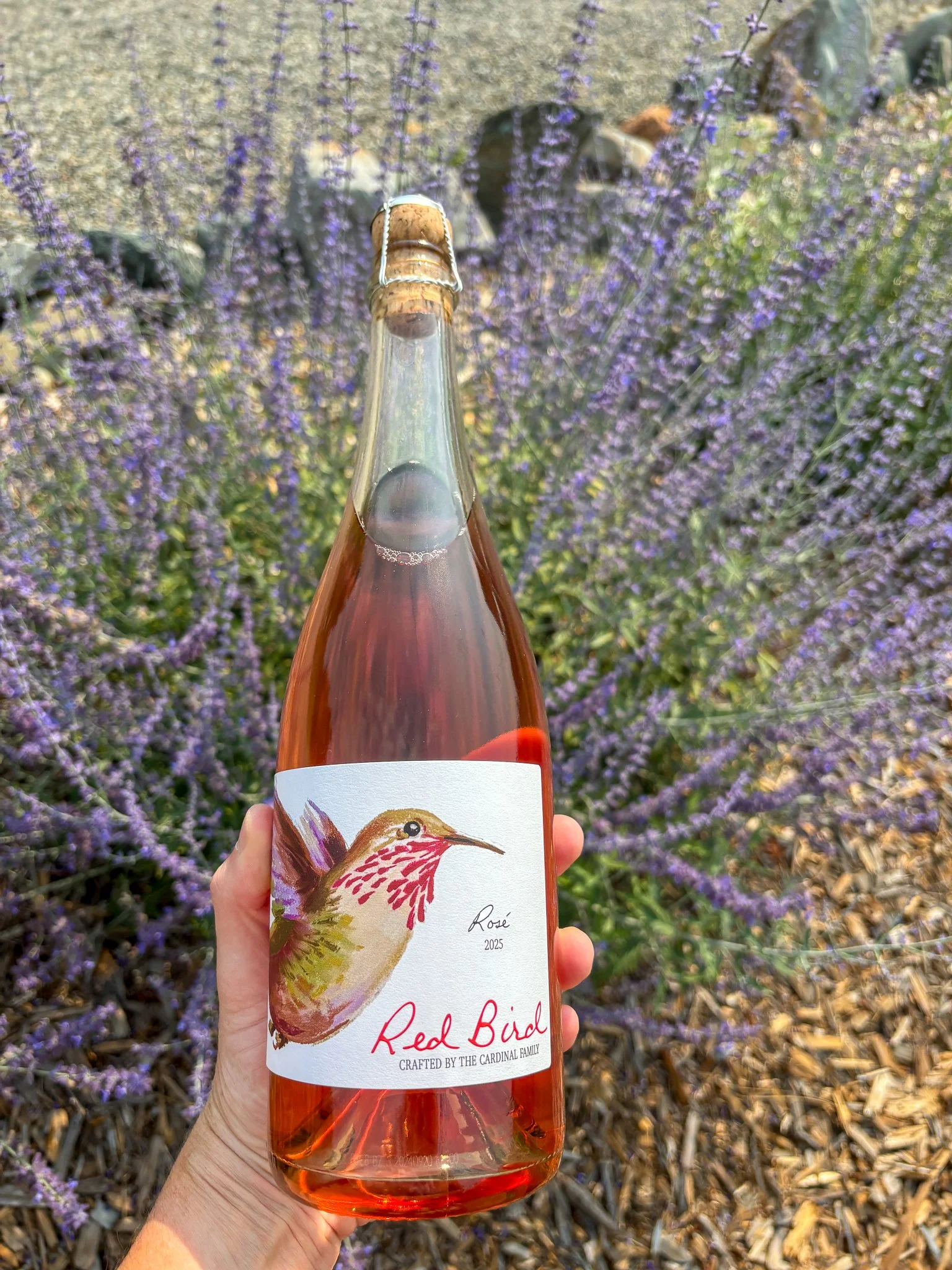 A bottle of Sparkling Rose wine and lavender on the backgorund