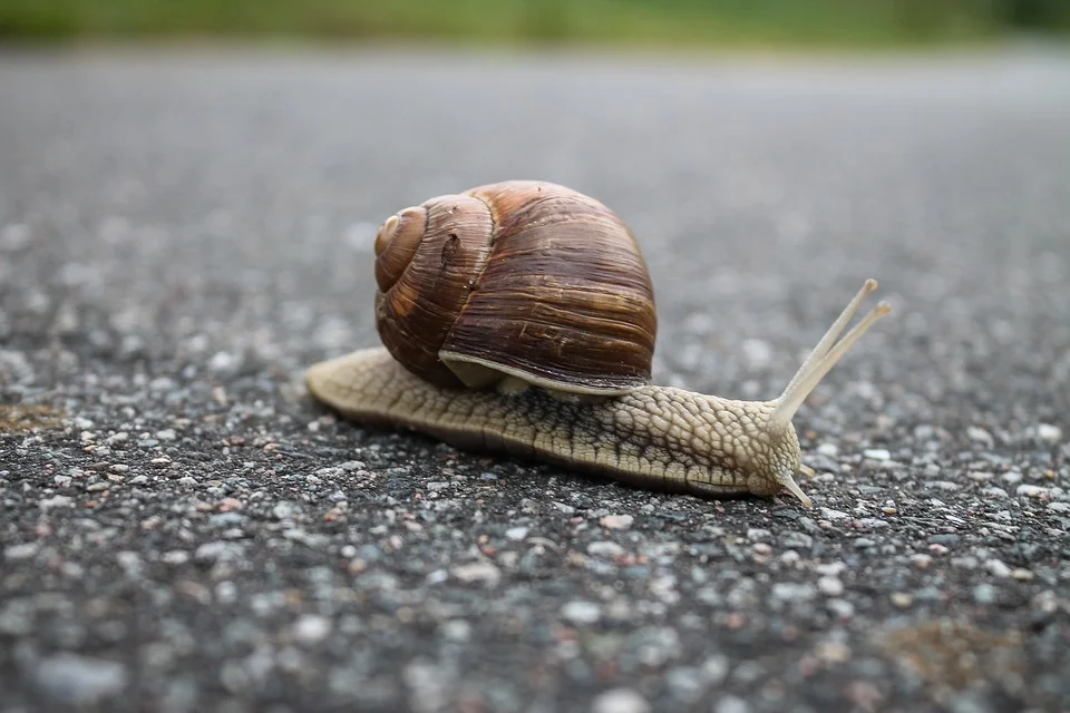 Speed up your slow smartphone