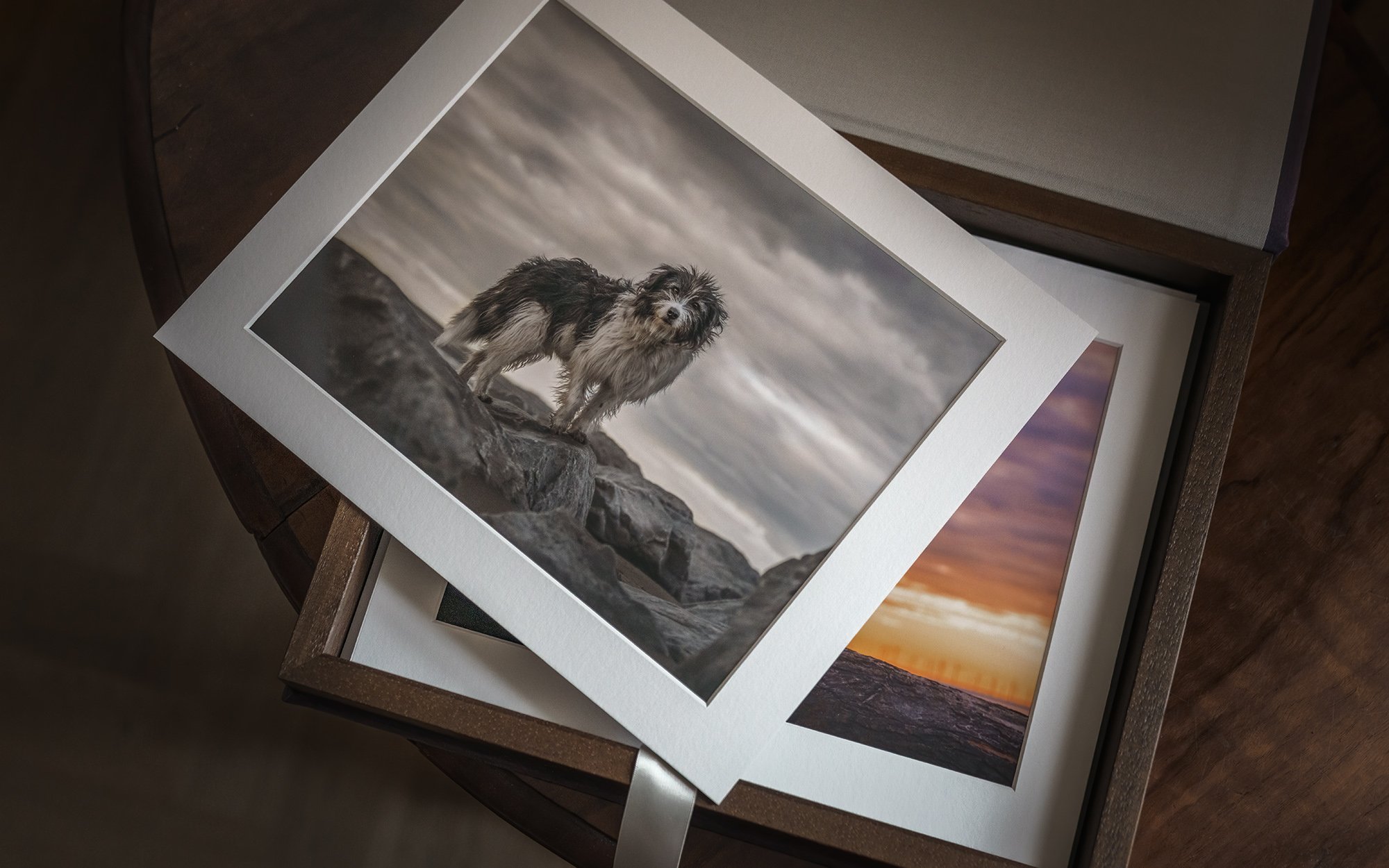 Badger's Story: The Most Memorable Dog Photography Session at Crosby Beach