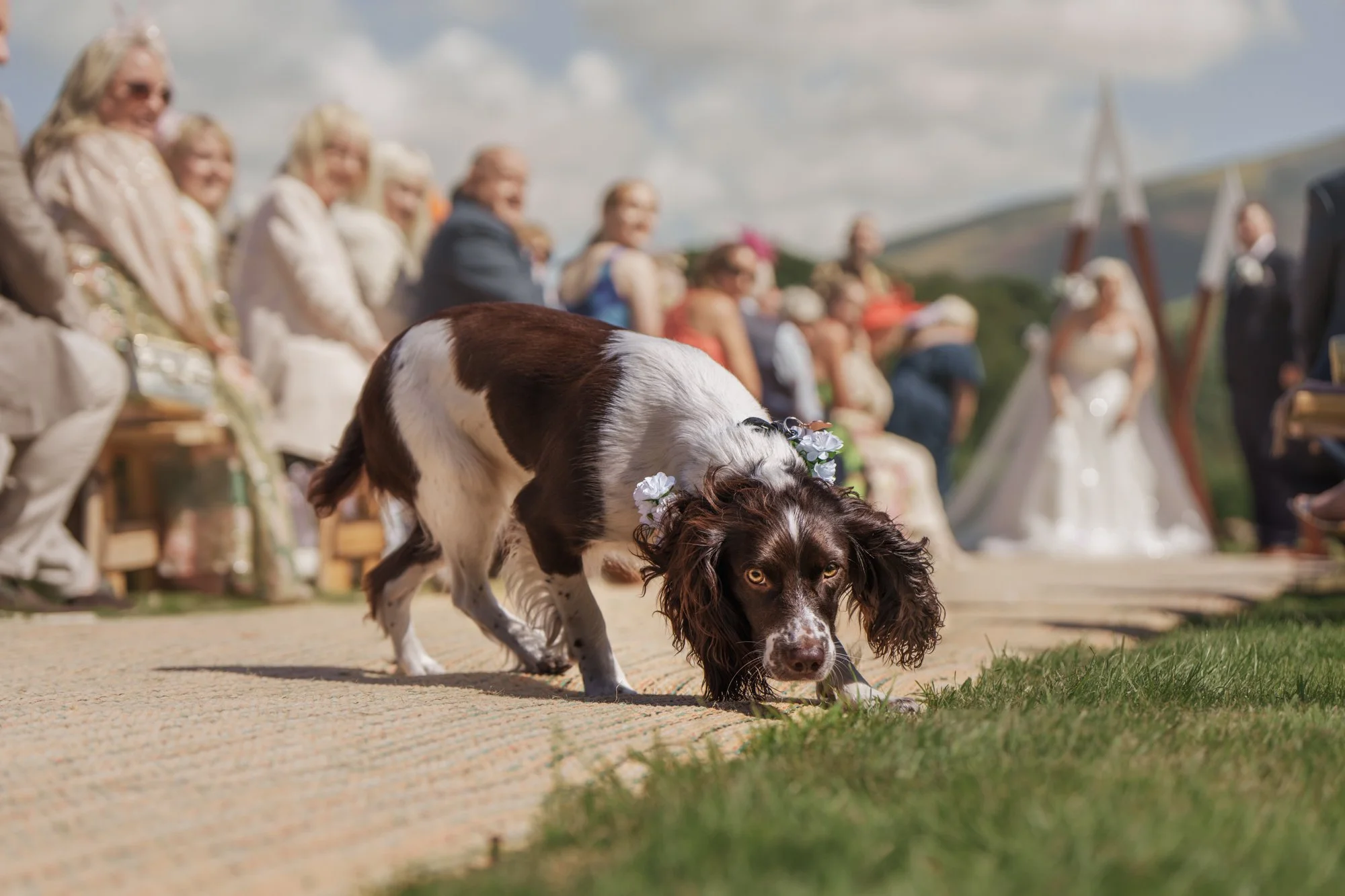 Holly_Wedding-1-3.jpg