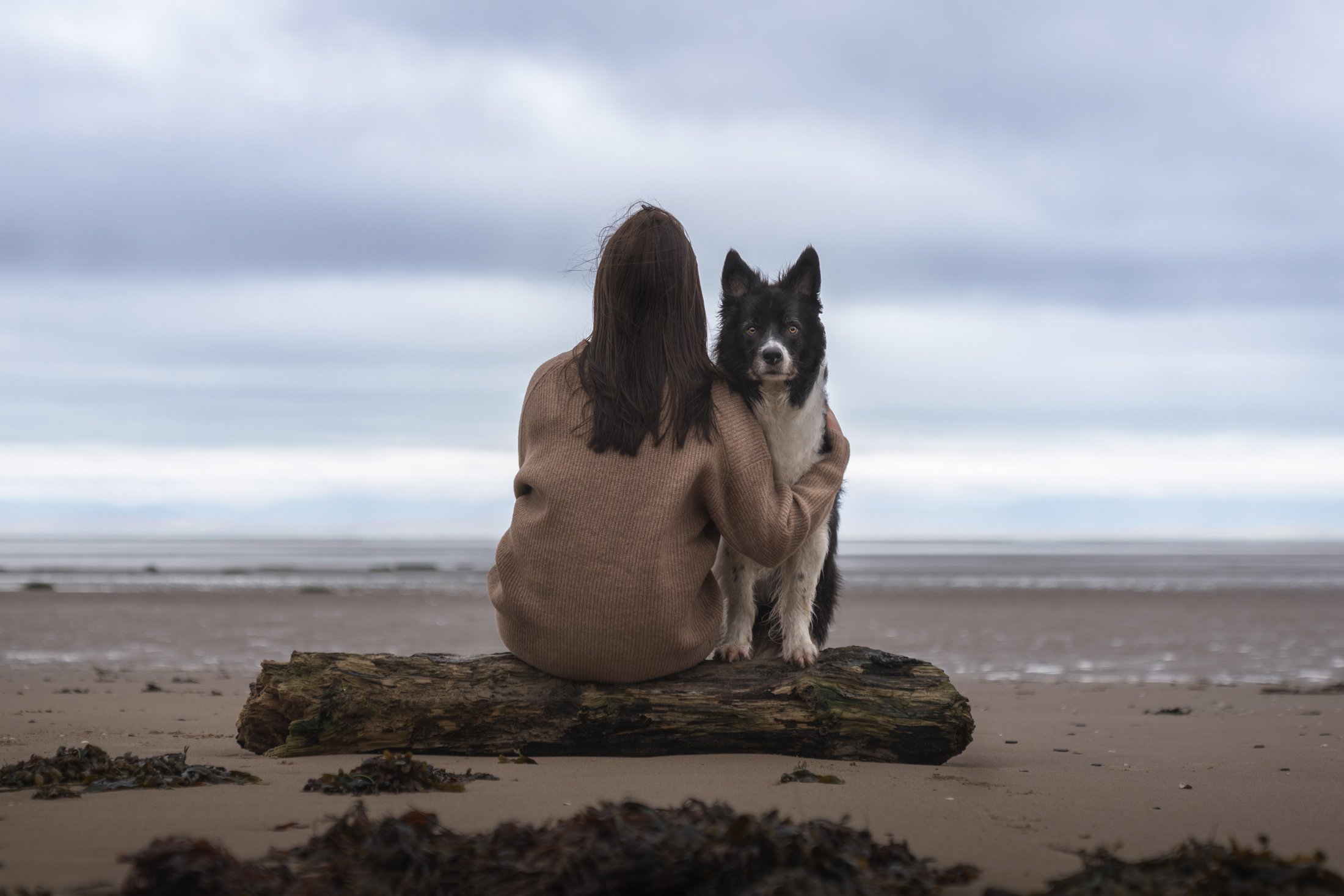 A person with long dark hair is sitting on a piece of driftwood on a beach, holding a black and white dog. The sky is overcast with gray clouds, and the beach appears deserted.