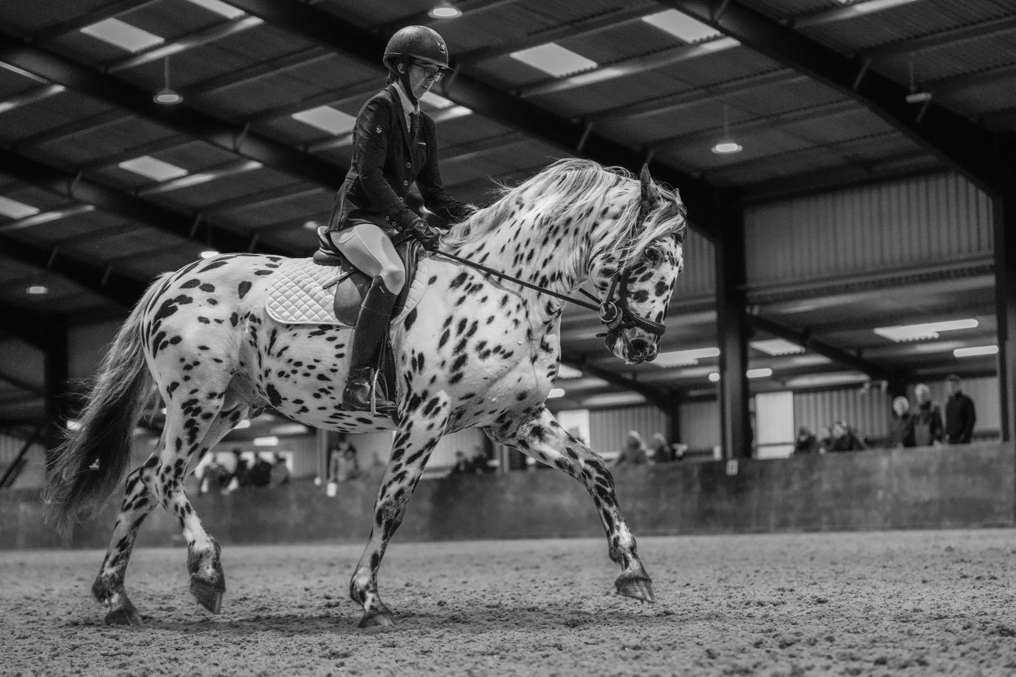 A rider in formal equestrian attire riding a spotted horse inside an indoor riding arena.