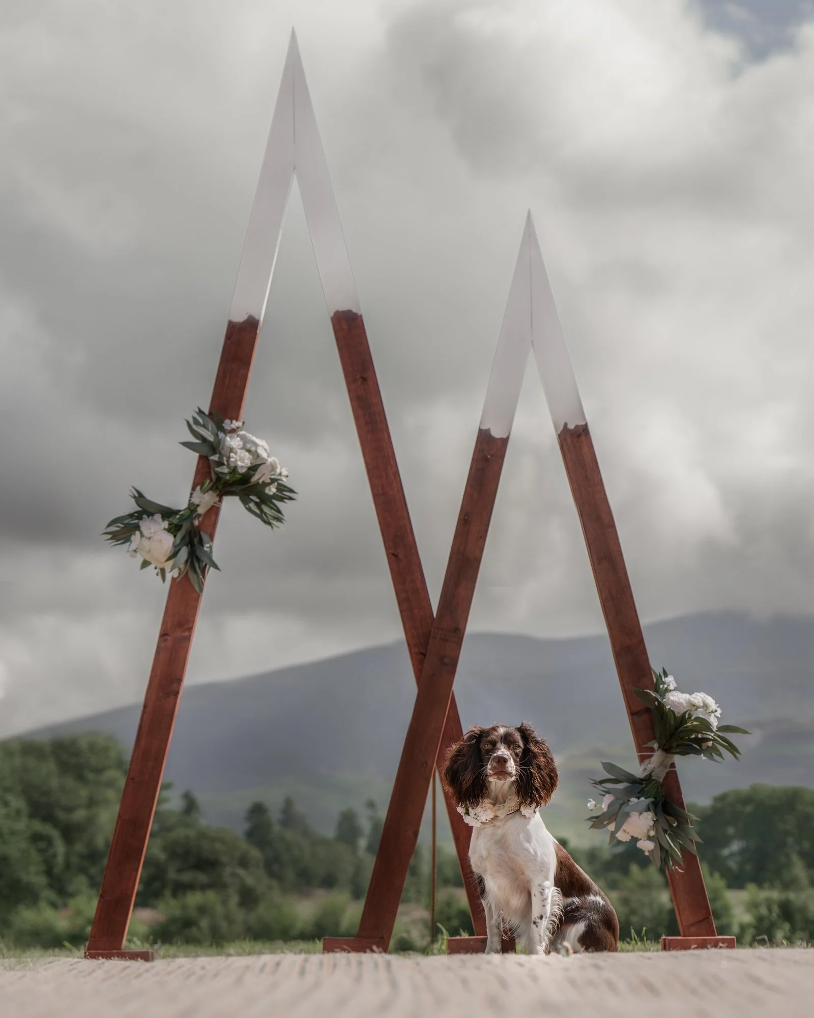 A dog sitting beneath a wooden wedding arch decorated with white flowers and greenery, set outdoors on cloudy day with a scenic landscape in the background.