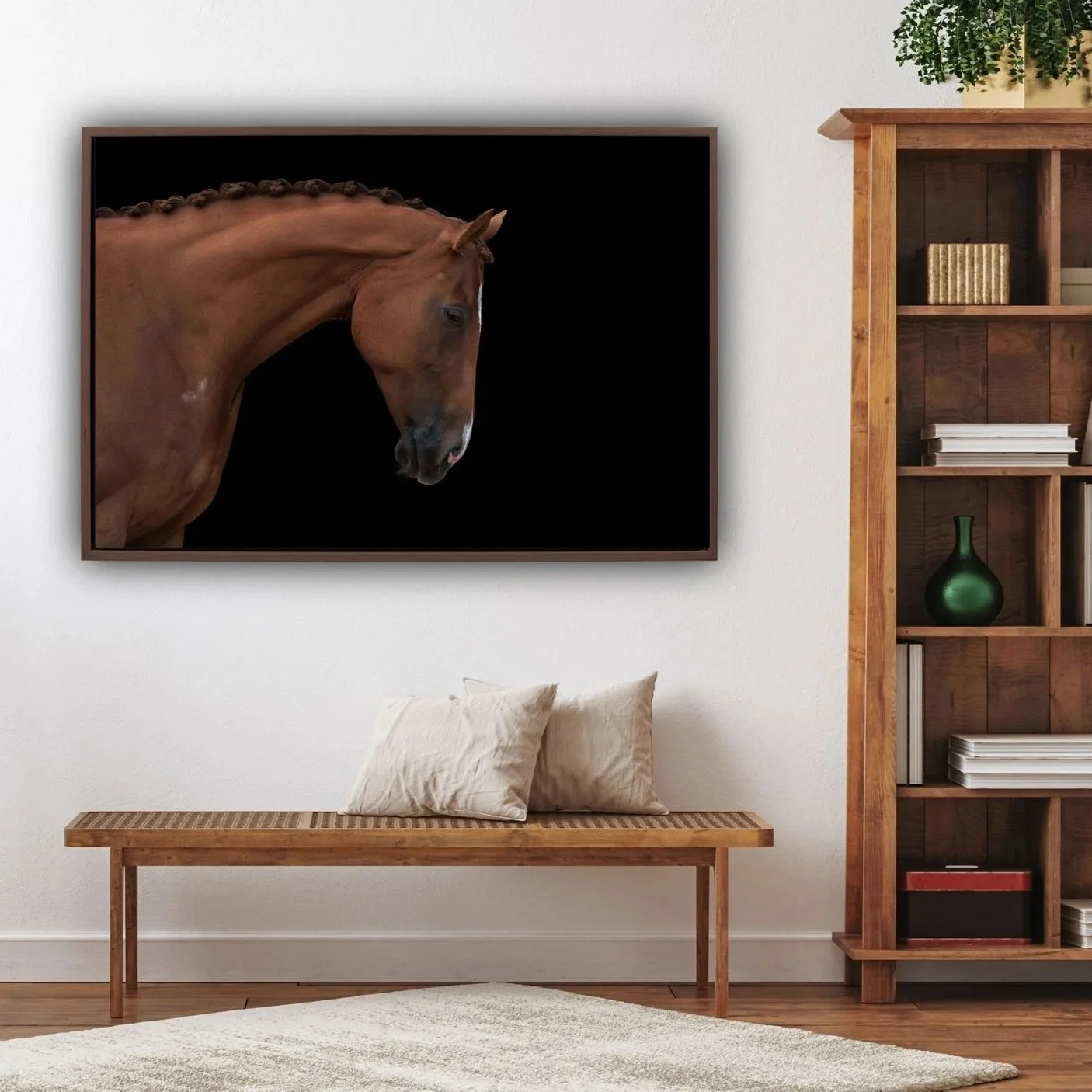 Side profile of a chestnut mare photographed against a black background by Frankie Adamson.