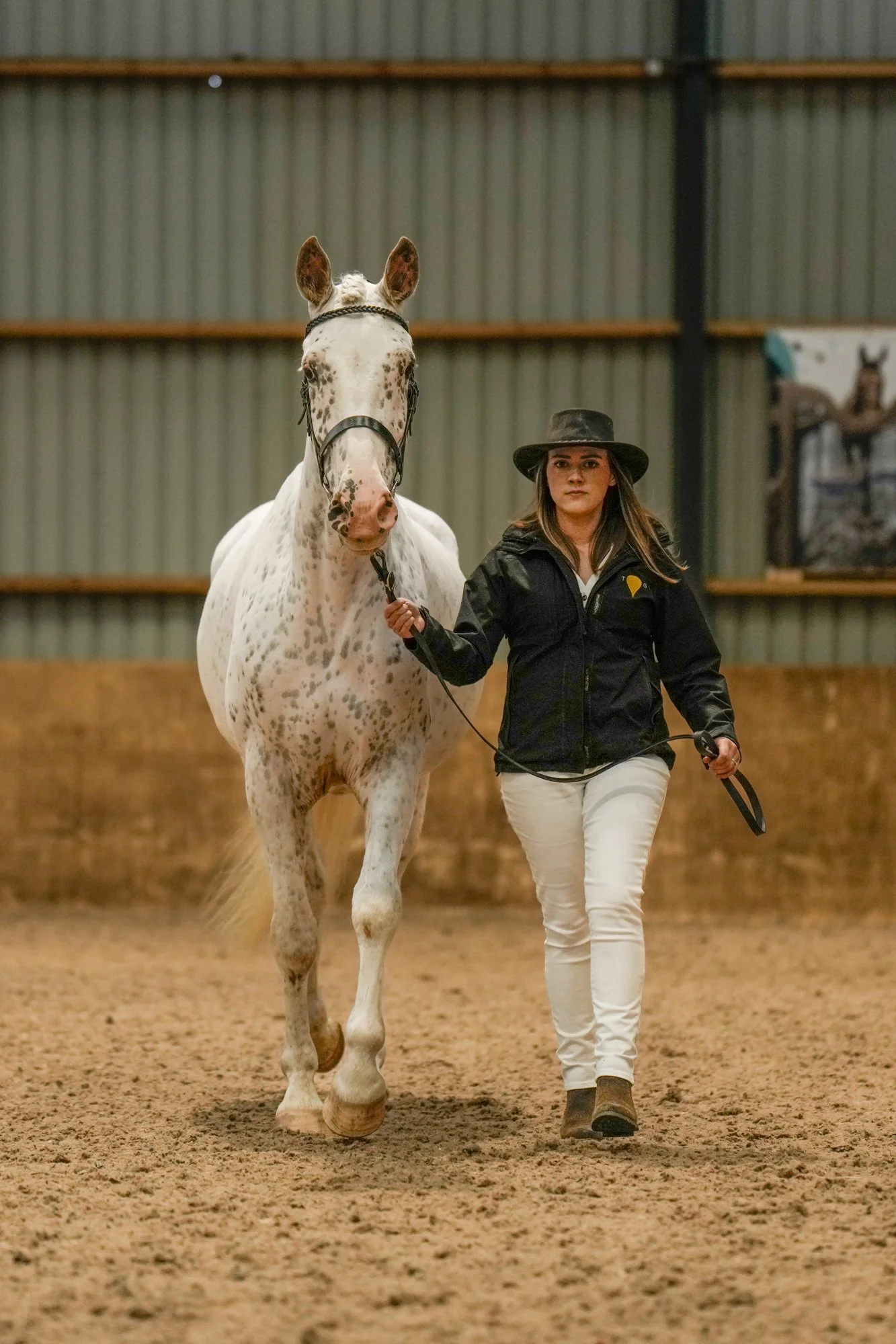 A woman walking a knabstrupper mare in an indoor riding arena.