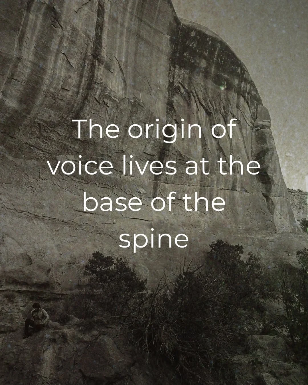 YinWarrior Leadership Intensive: Voice as Evocation

Coming to you in February 
Held in Santa Fe, NM
DM for details, limited space ✨

Photo Ghost Ranch