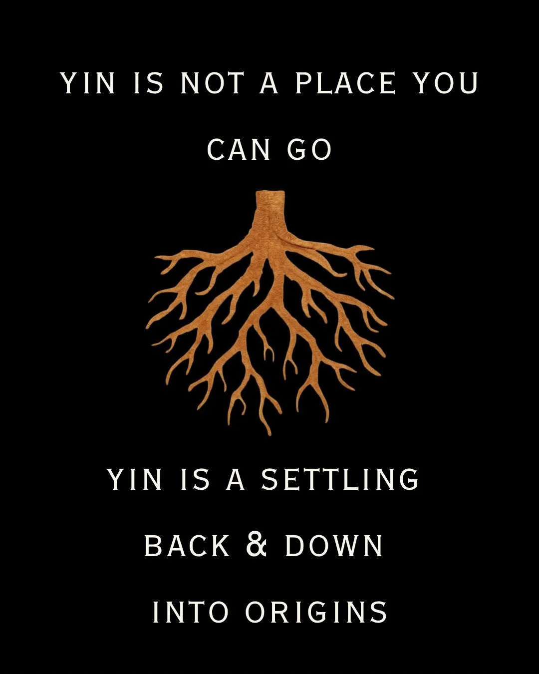 Yin is the most active atmosphere of our personal sovereignty &amp; collective humanity 

Yin is not nice
Yin is not passive 
Yin is not gendered

Yin is the ferocity of nature, premanifest, mysterious, uncontrollable