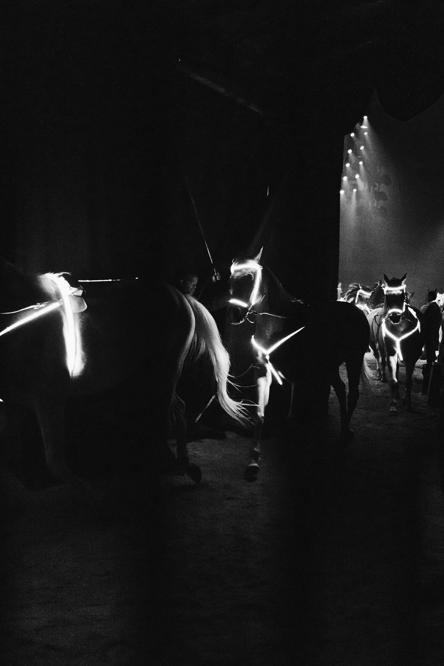 11062024_Coulisse_CirqueKnie_JulianeBadoux_0021.jpg