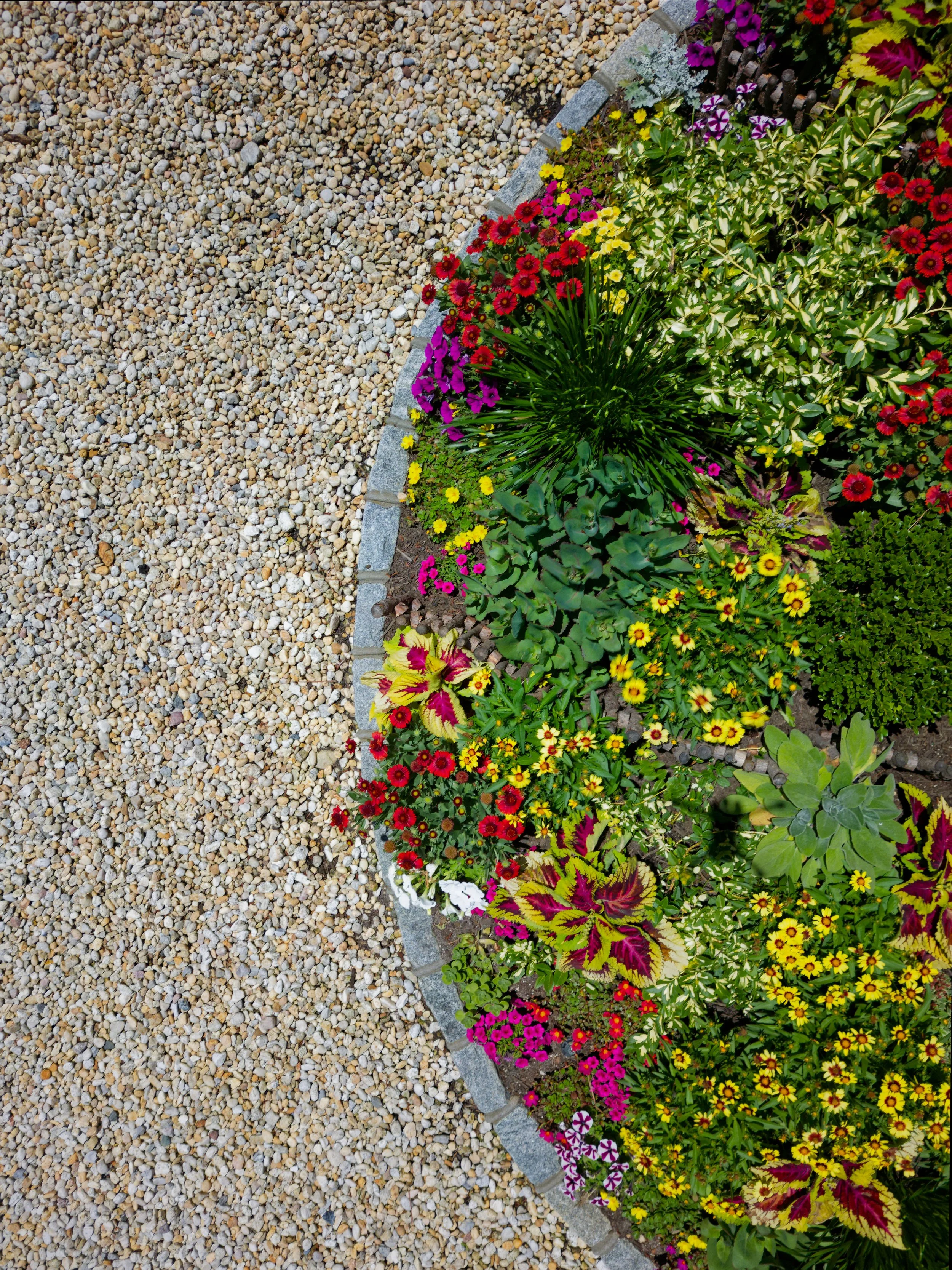 Colorful flower bed with various flowers along a stone border and gravel driveway.