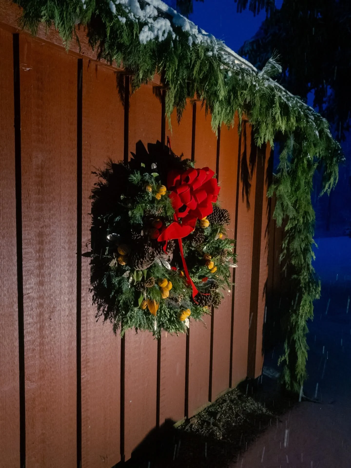 6:00 am 
__
Photos: @simoudis
#jerryrose #jerryrosehomeandgarden