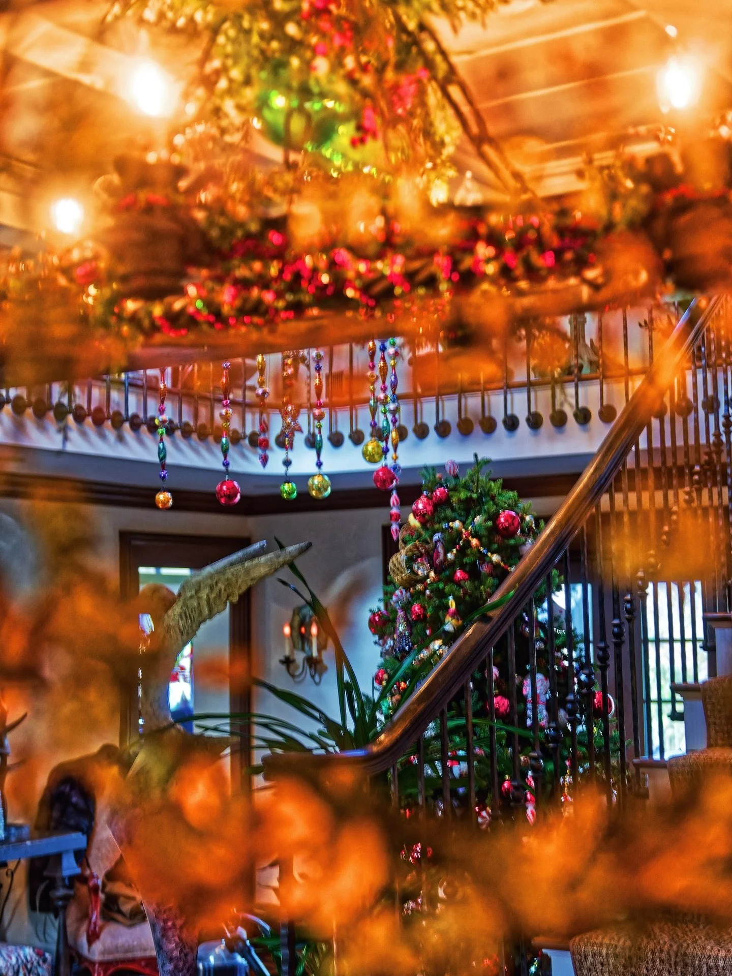 Holiday magic, courtesy of #teamjerryrose
__
Photos: @simoudis
#jerryrose #jerryrosehomeandgarden