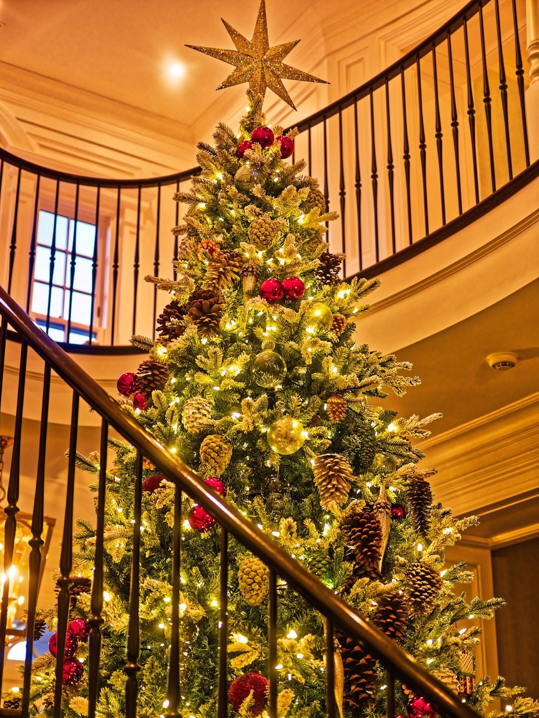 The Season elevated - unmistakably Jerry Rose. 
__
Photos: @simoudis 
#jerryrose #jerryrosehomeandgarden #holidays