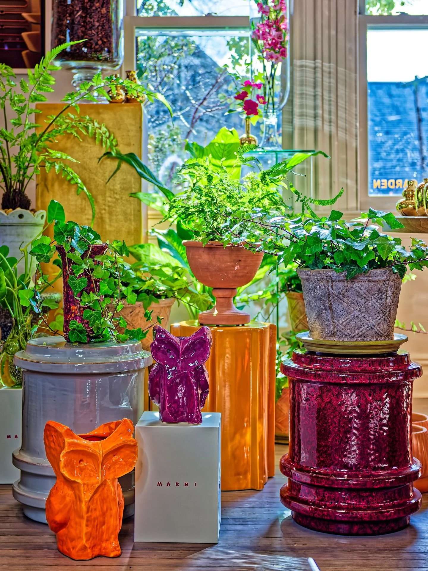 New arrivals. 
__
#jerryrose #jerryrosehomeandgarden #gardendesign #containers #summitnj